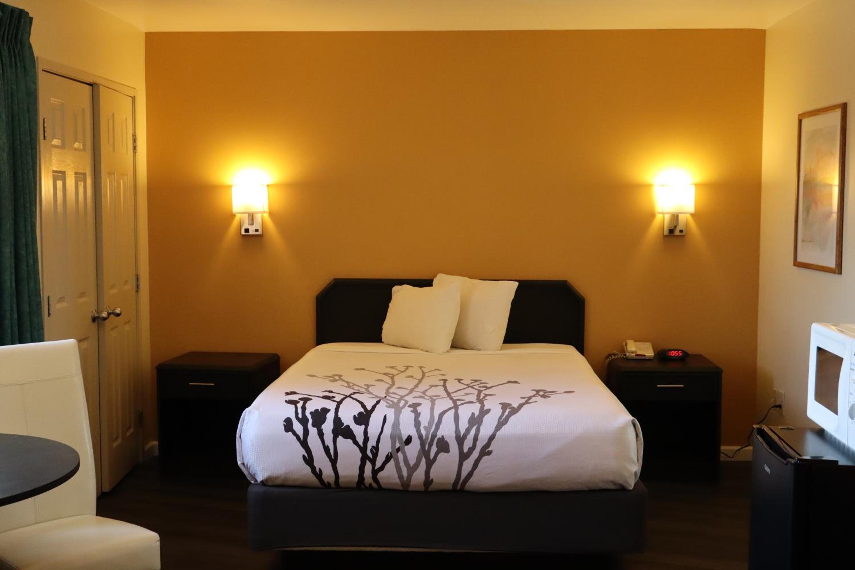 Queen Suite photo 3