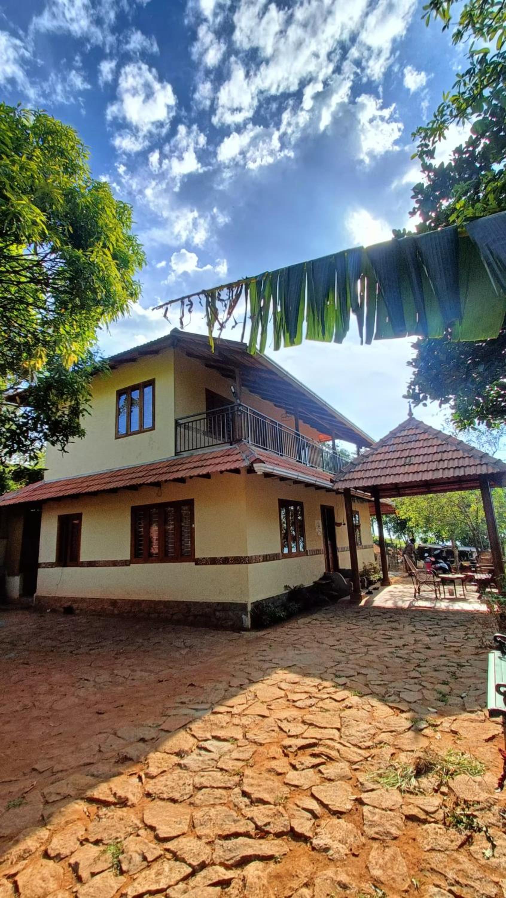 Family Bungalow photo 2