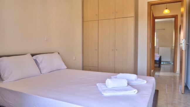 Apartment - Photo 14