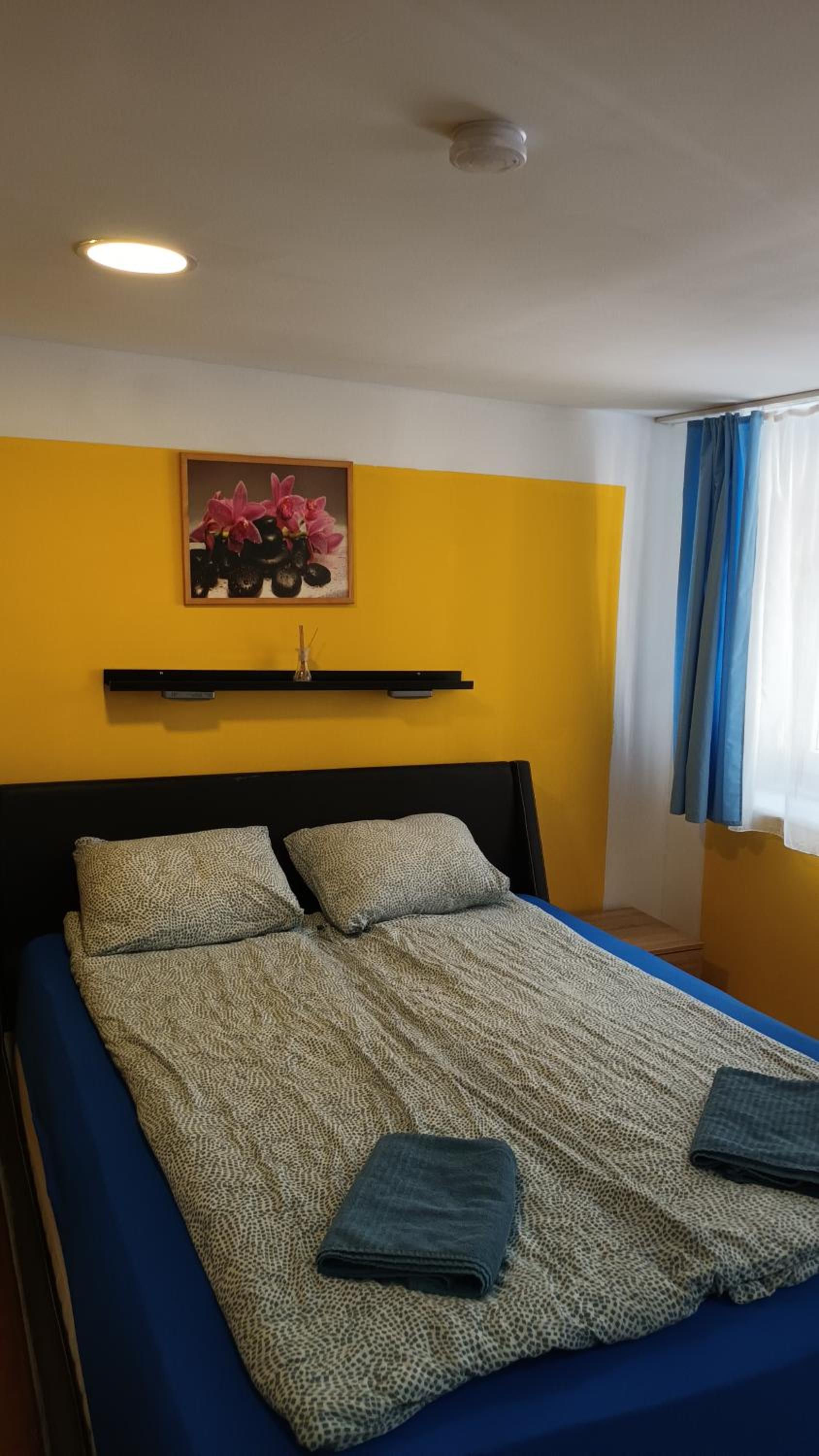 One-Bedroom Apartment - Photo 4