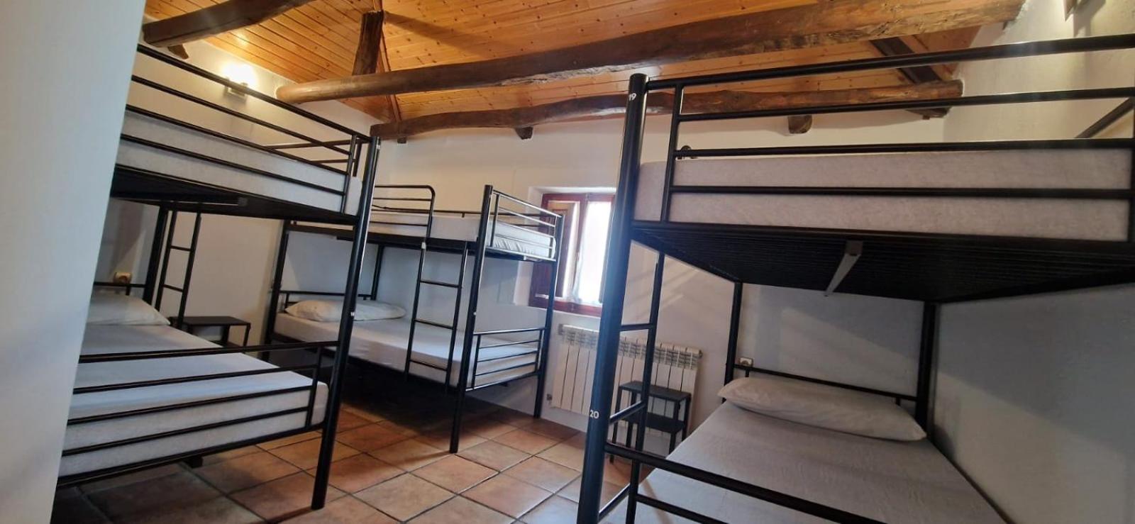 Single Bed in Mixed Dormitory Room photo 3