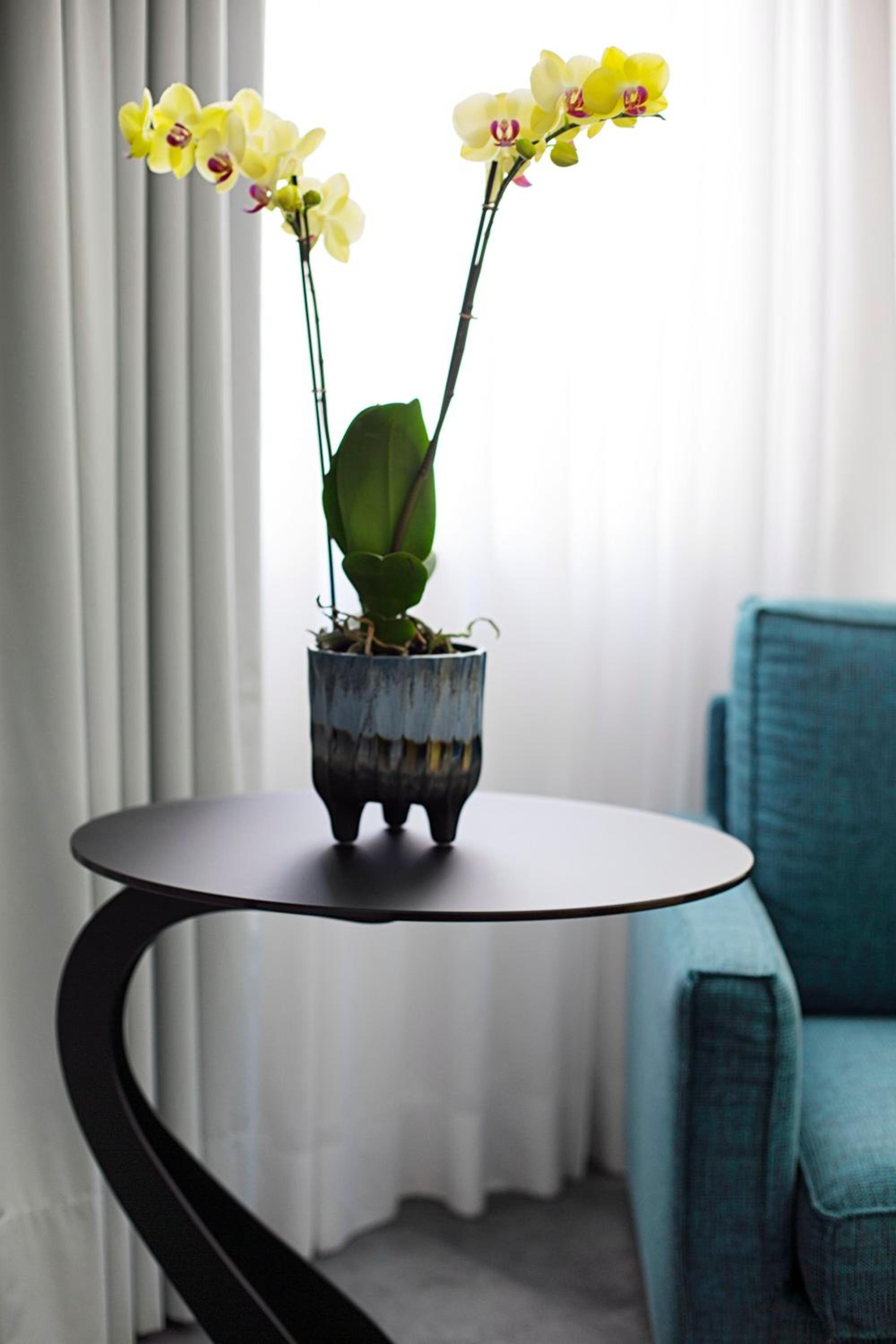 Junior Suite - Photo 9