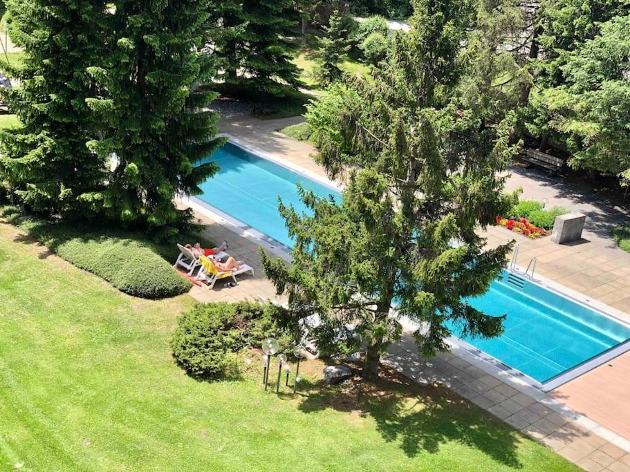 Studio with Pool View photo 1