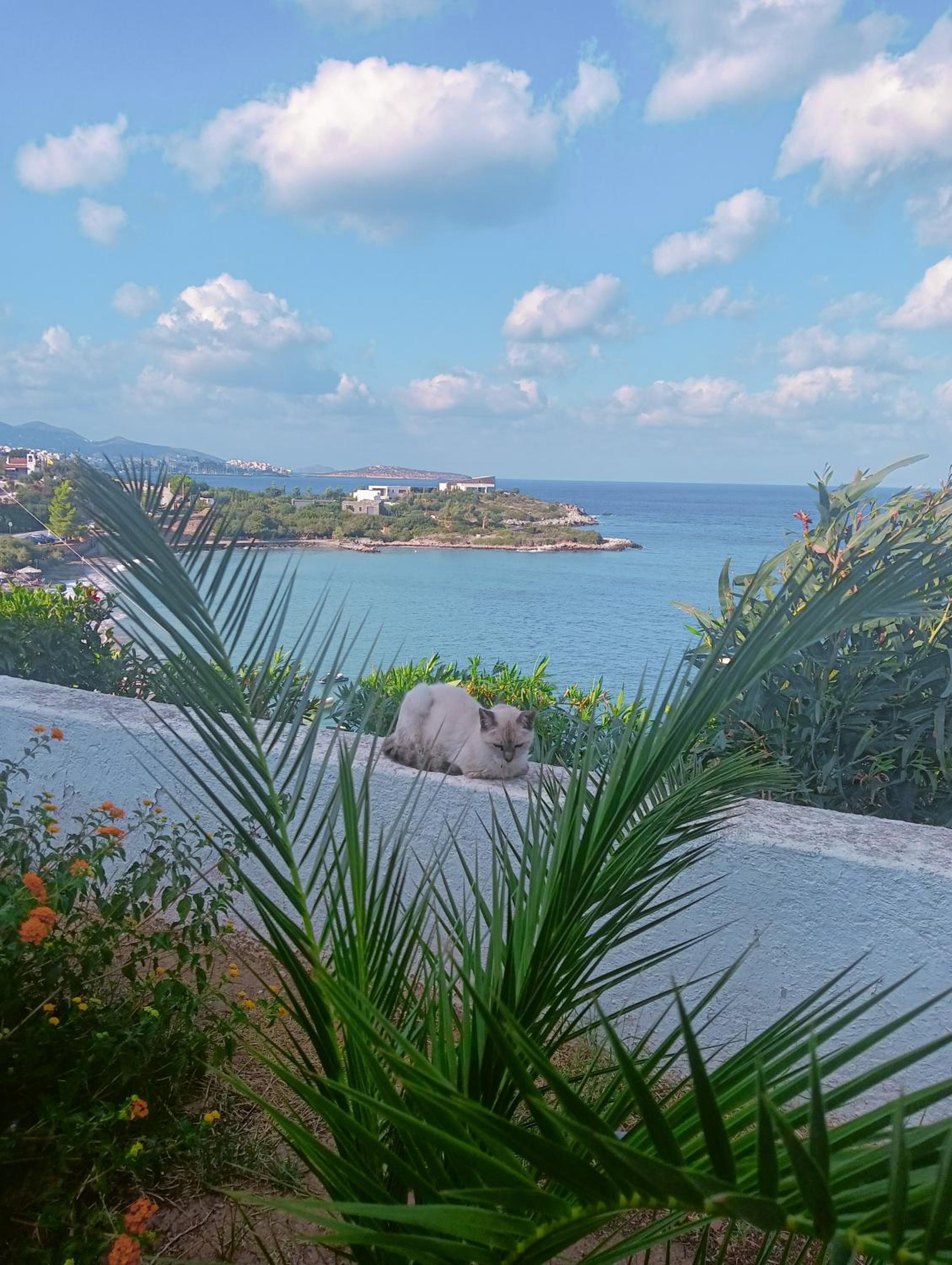Studio with Sea View (2 Adults) photo 2