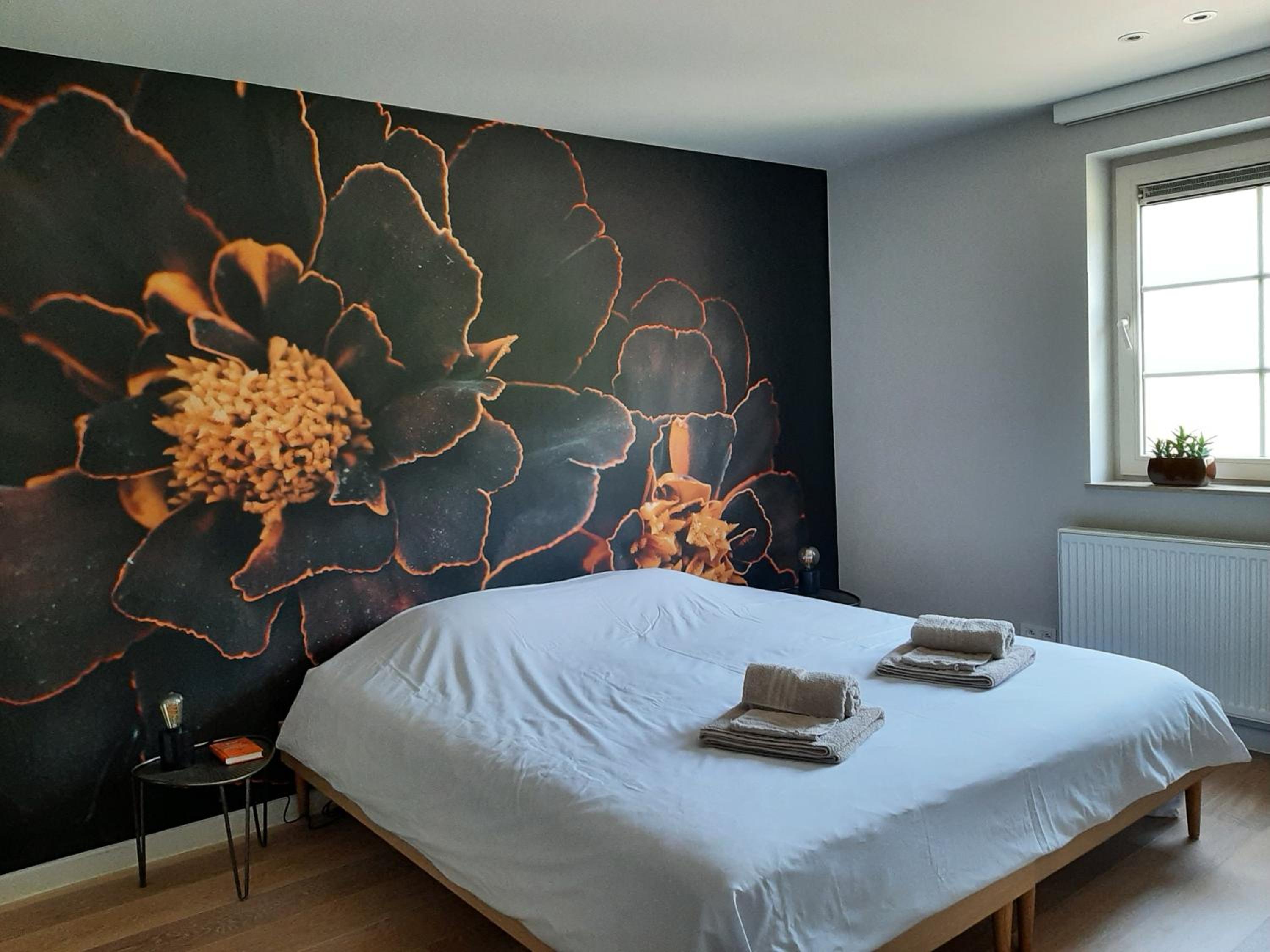 Double or Twin Room photo 1