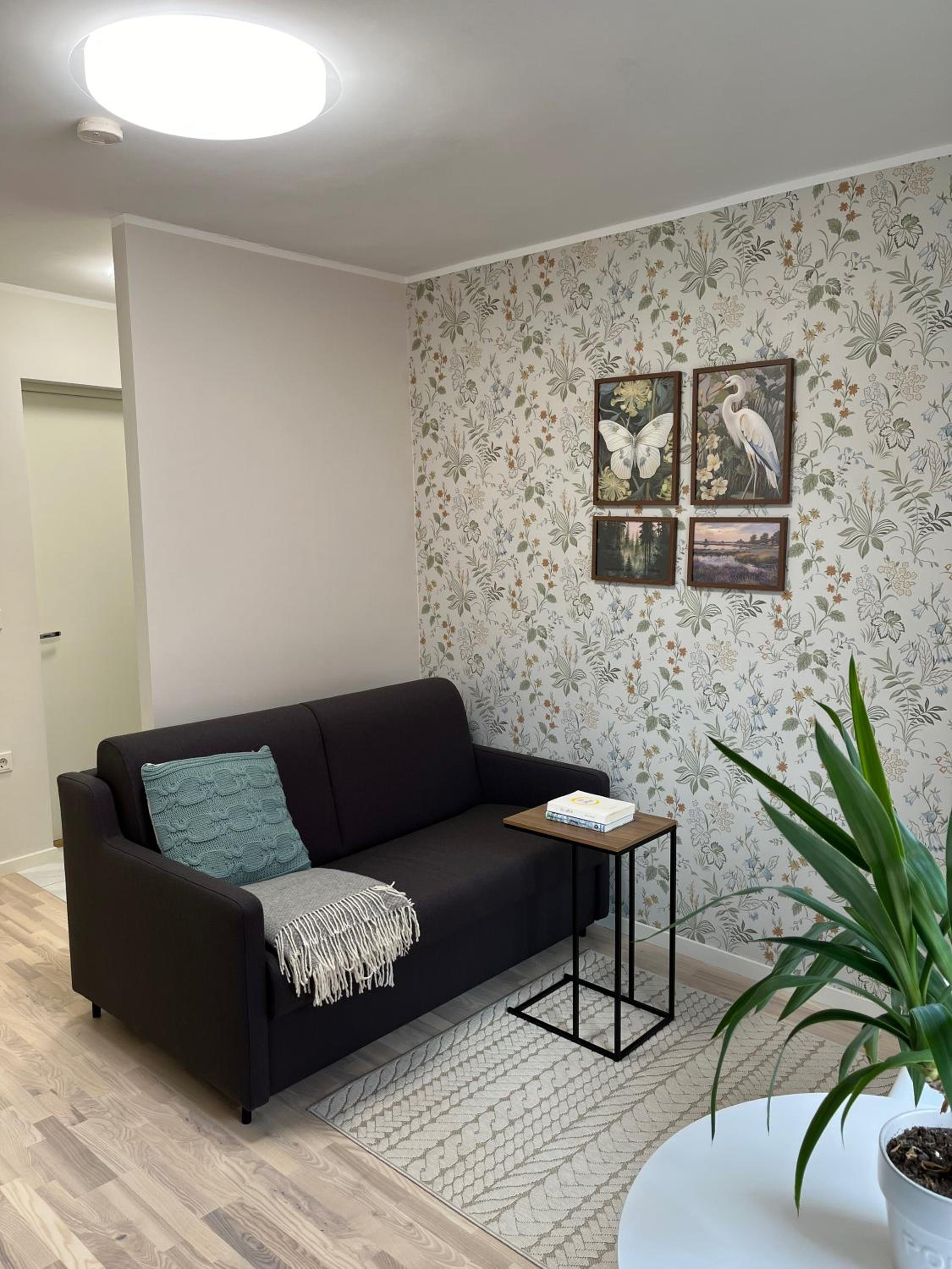 One-Bedroom Apartment photo 2