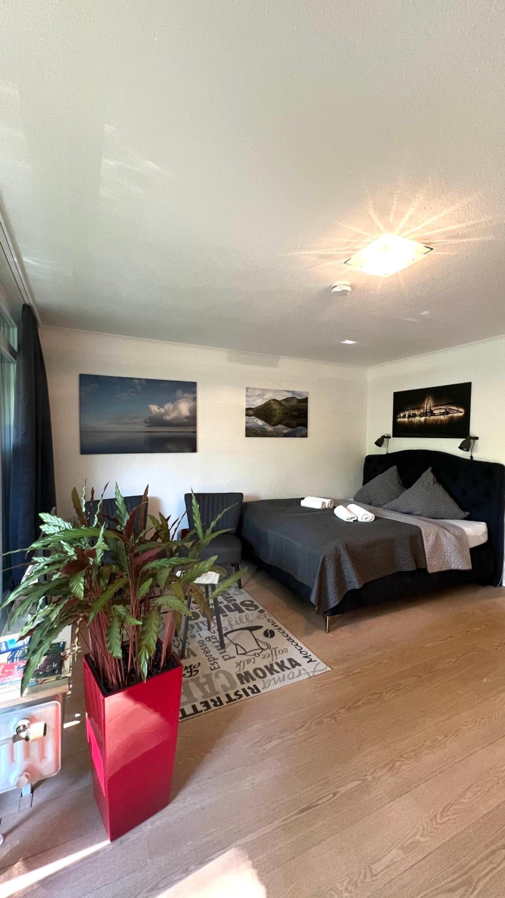 One-Bedroom Apartment photo 1