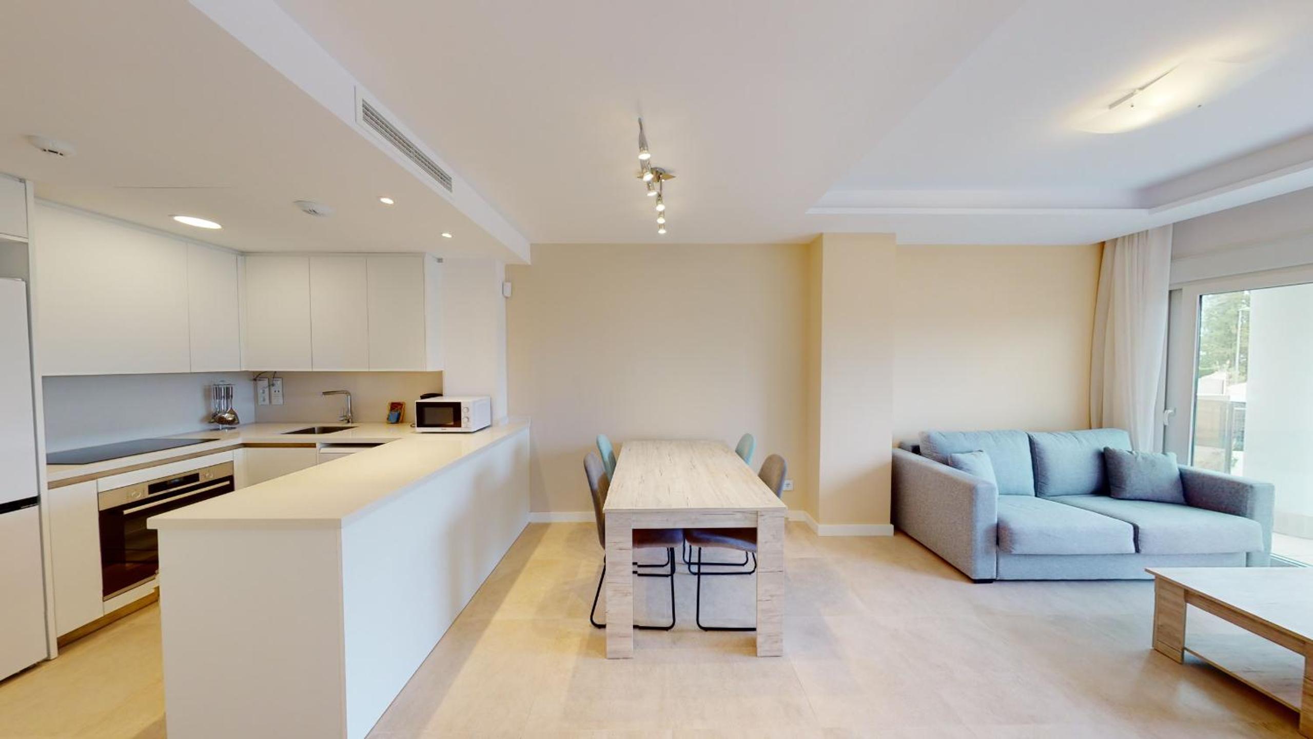 Apartment with Terrace photo 3