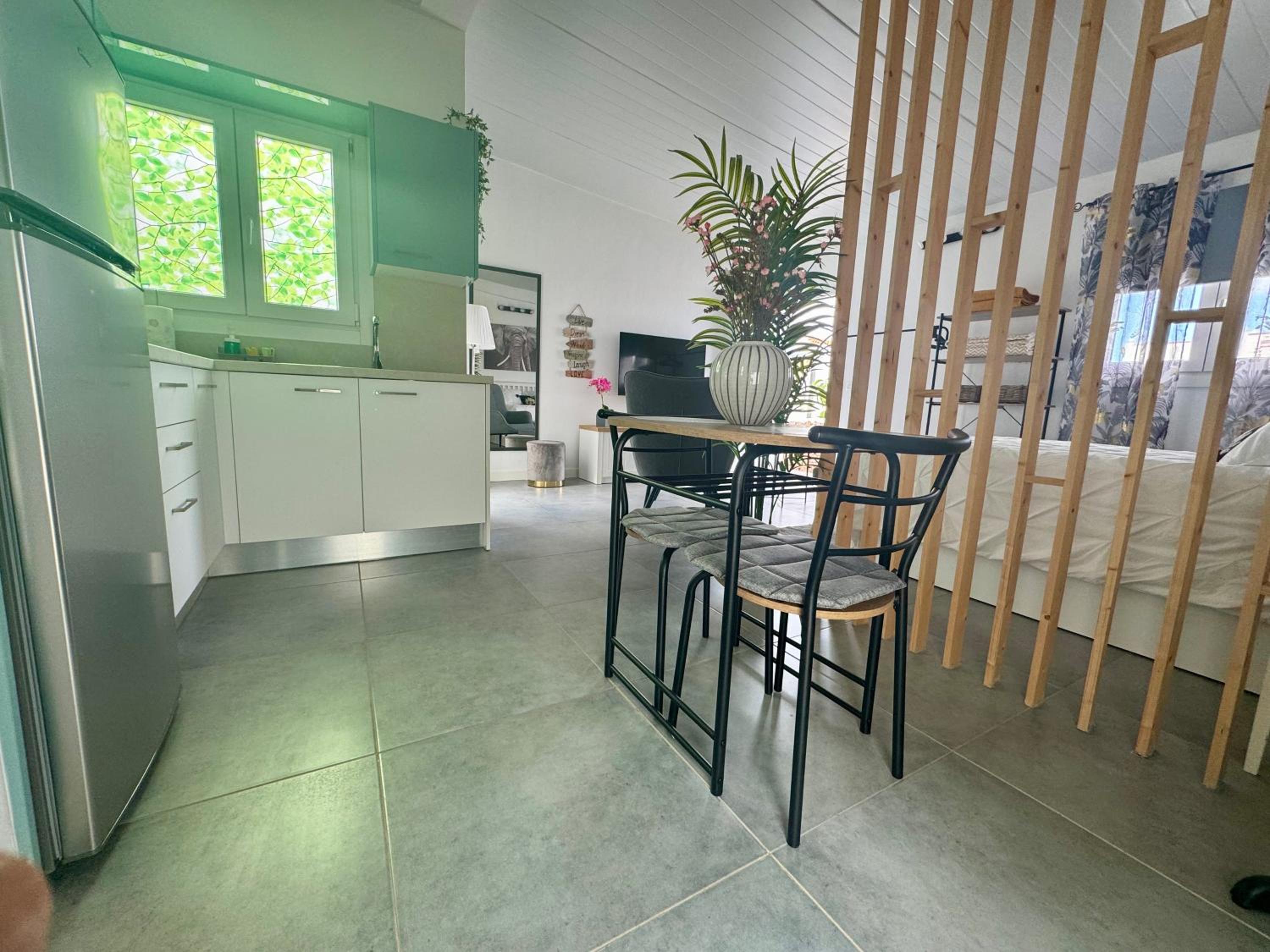 Studio With Terrace photo 2