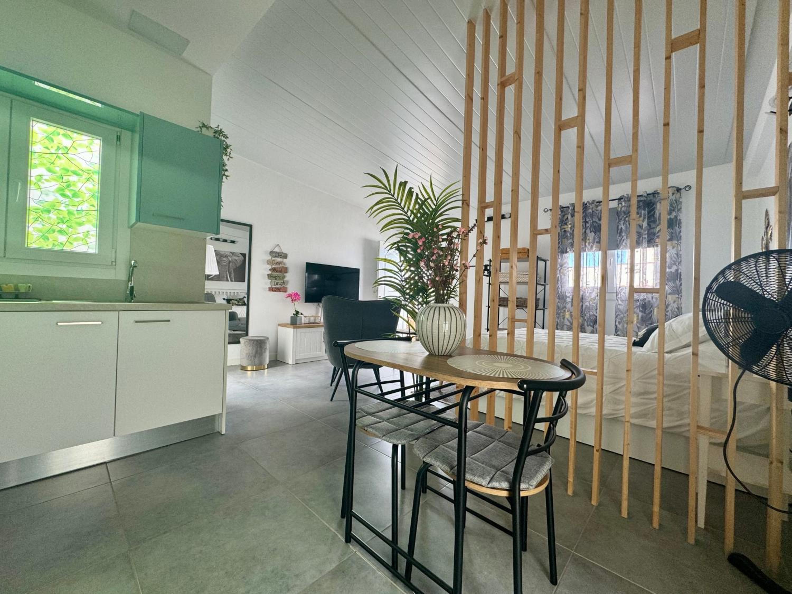 Studio With Terrace photo 3