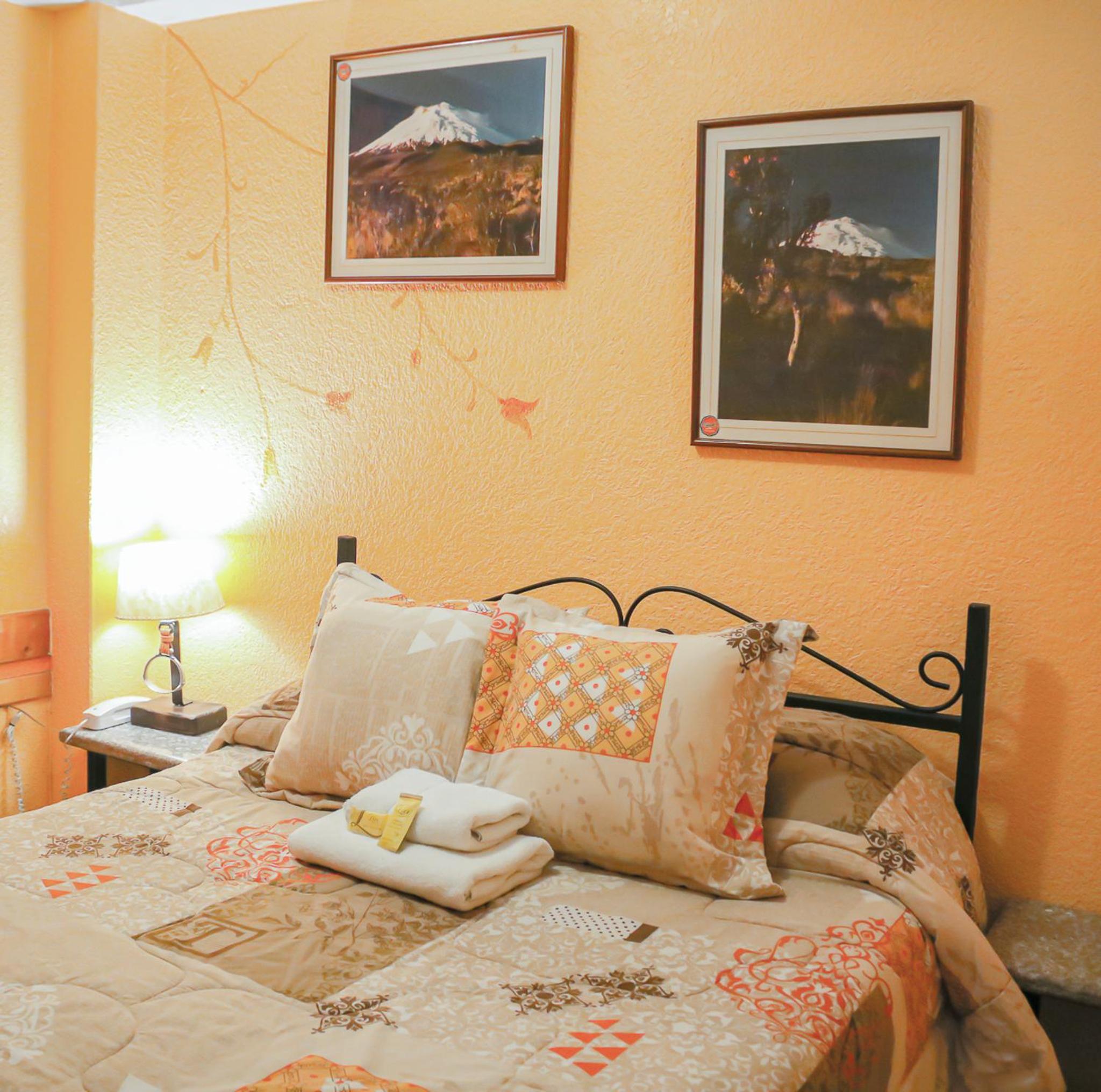Budget Single Room