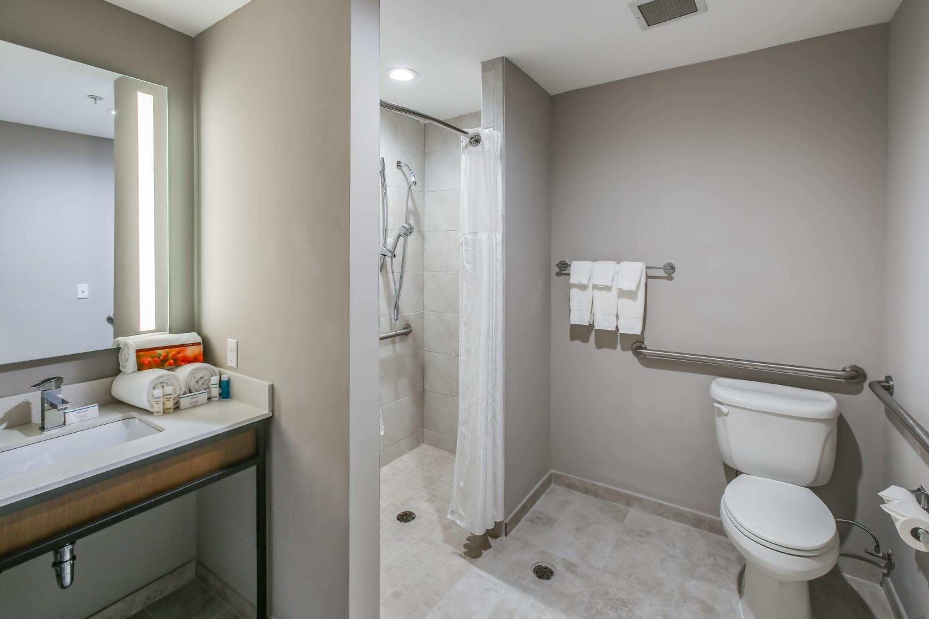 King Room with Transfer Shower - Mobility Access - Photo 5