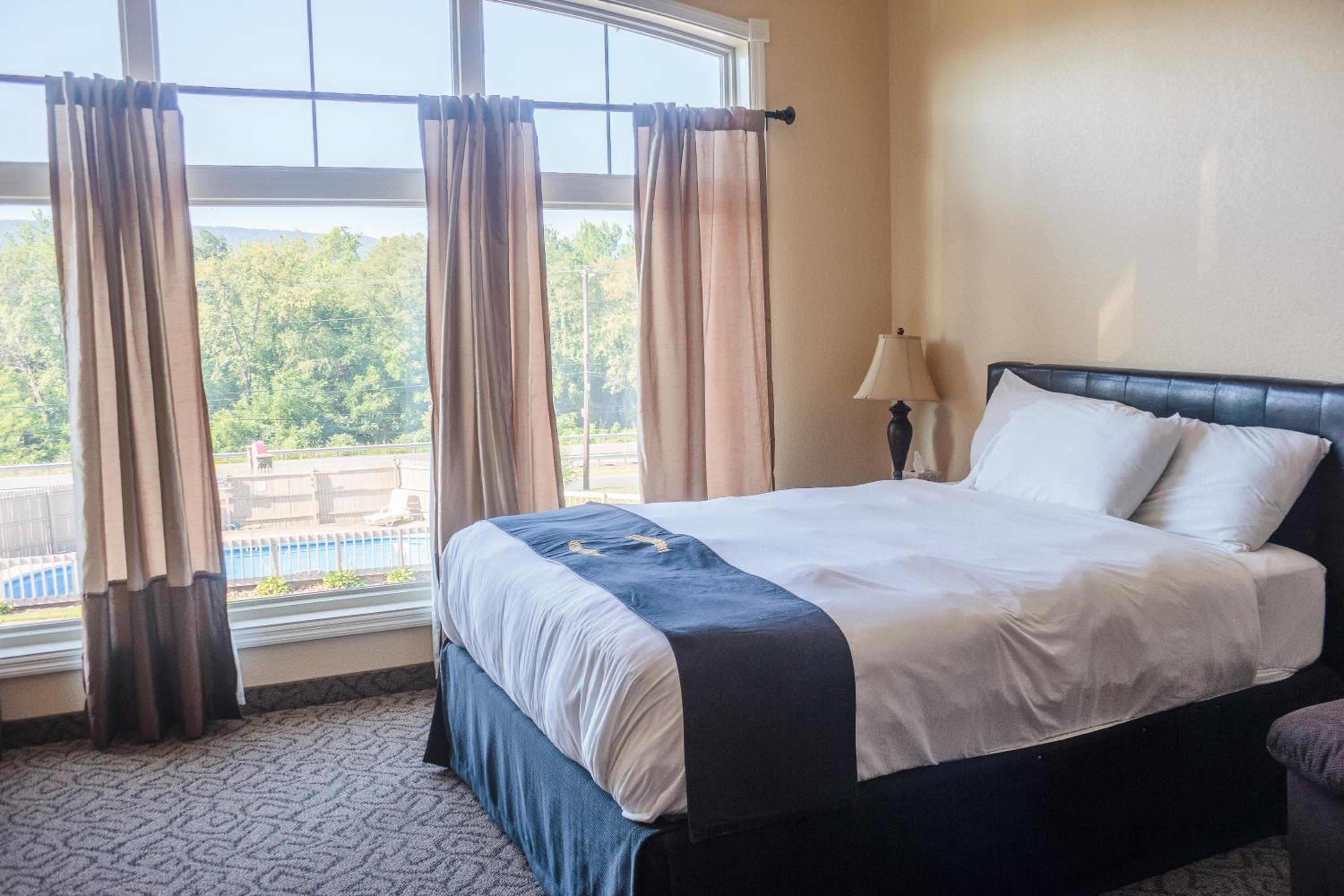 Suite photo 2