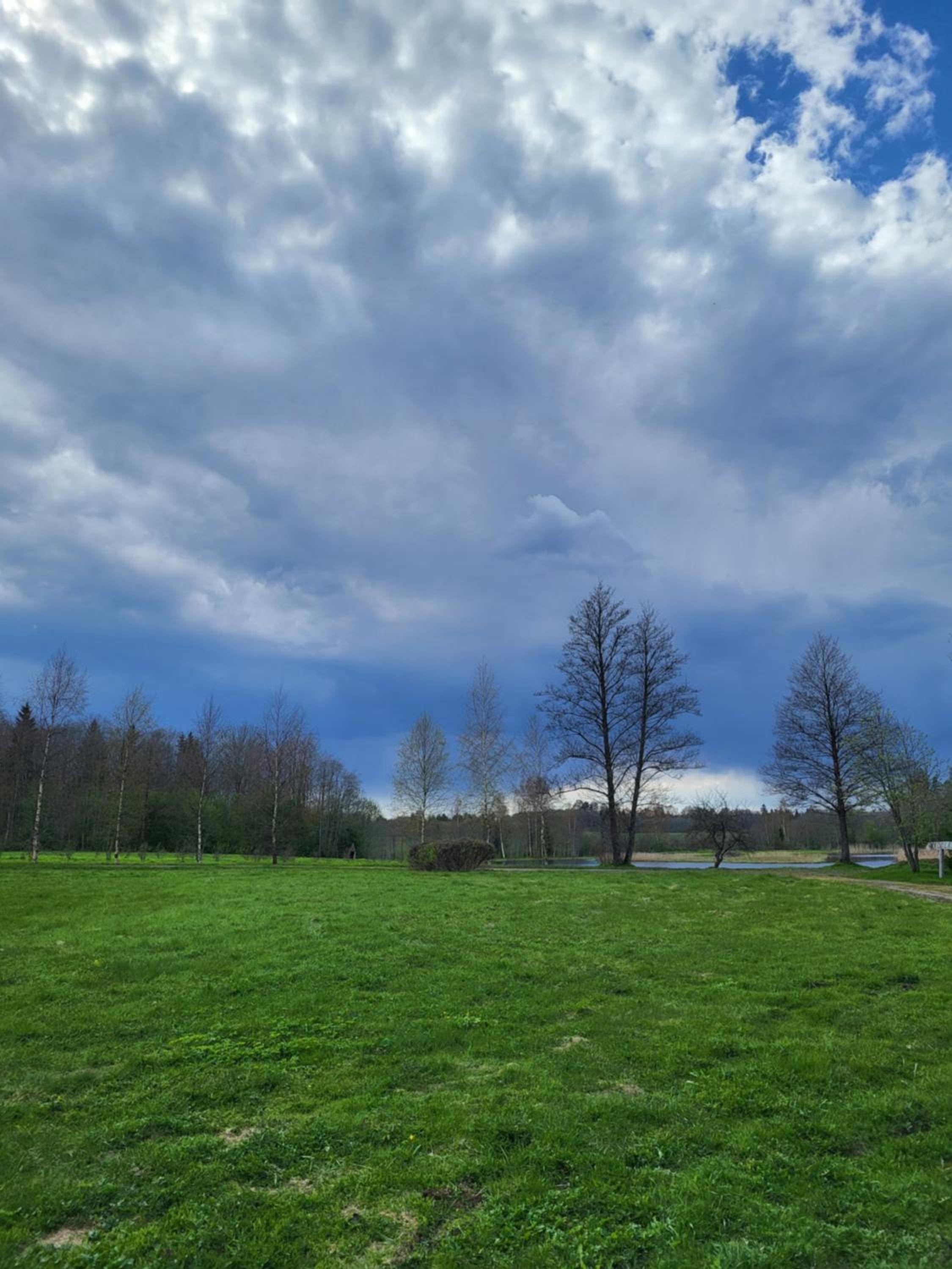 Vacation Home - Photo 8