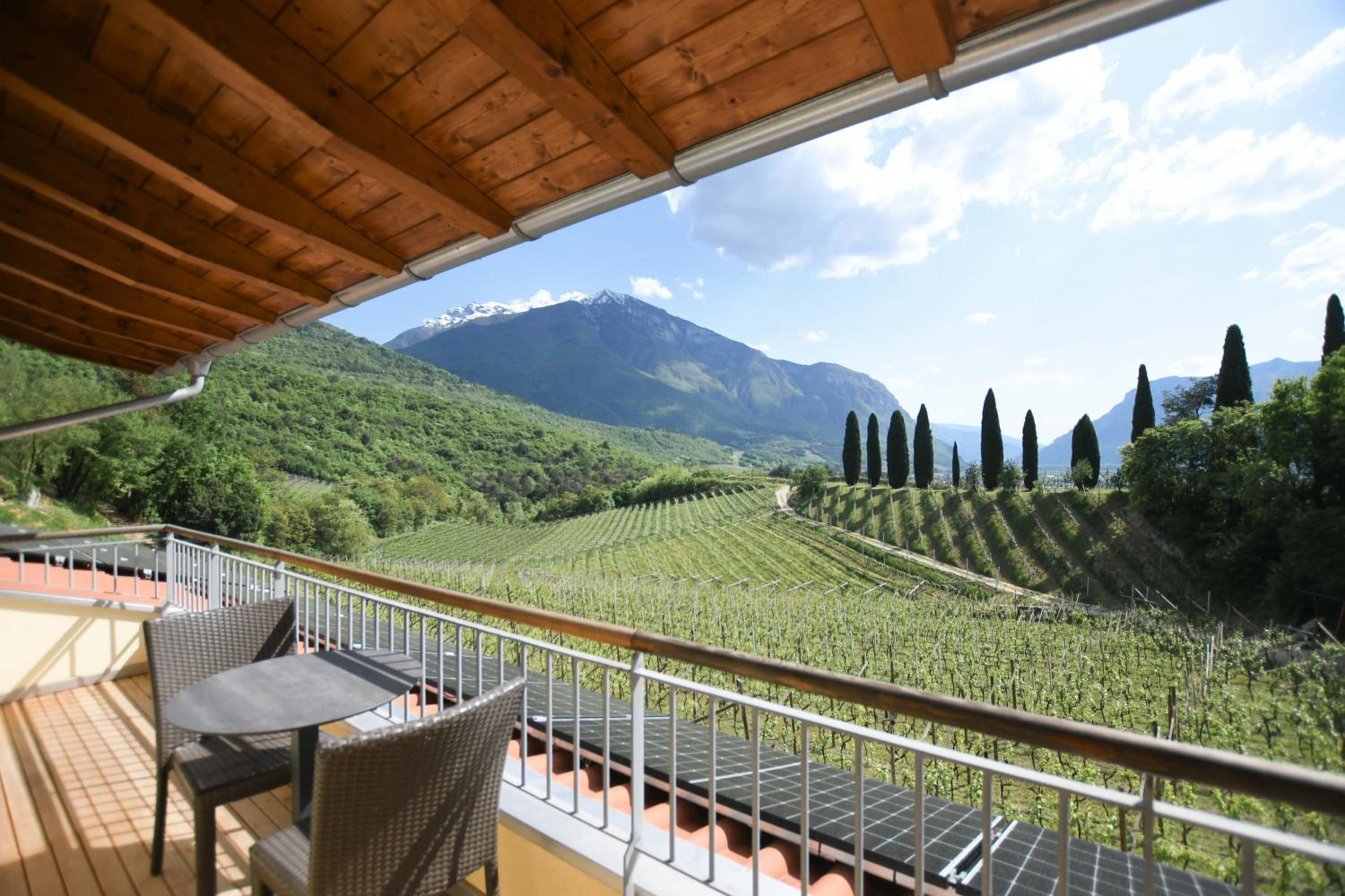 Junior Suite with Balcony and Vineyard View photo 2