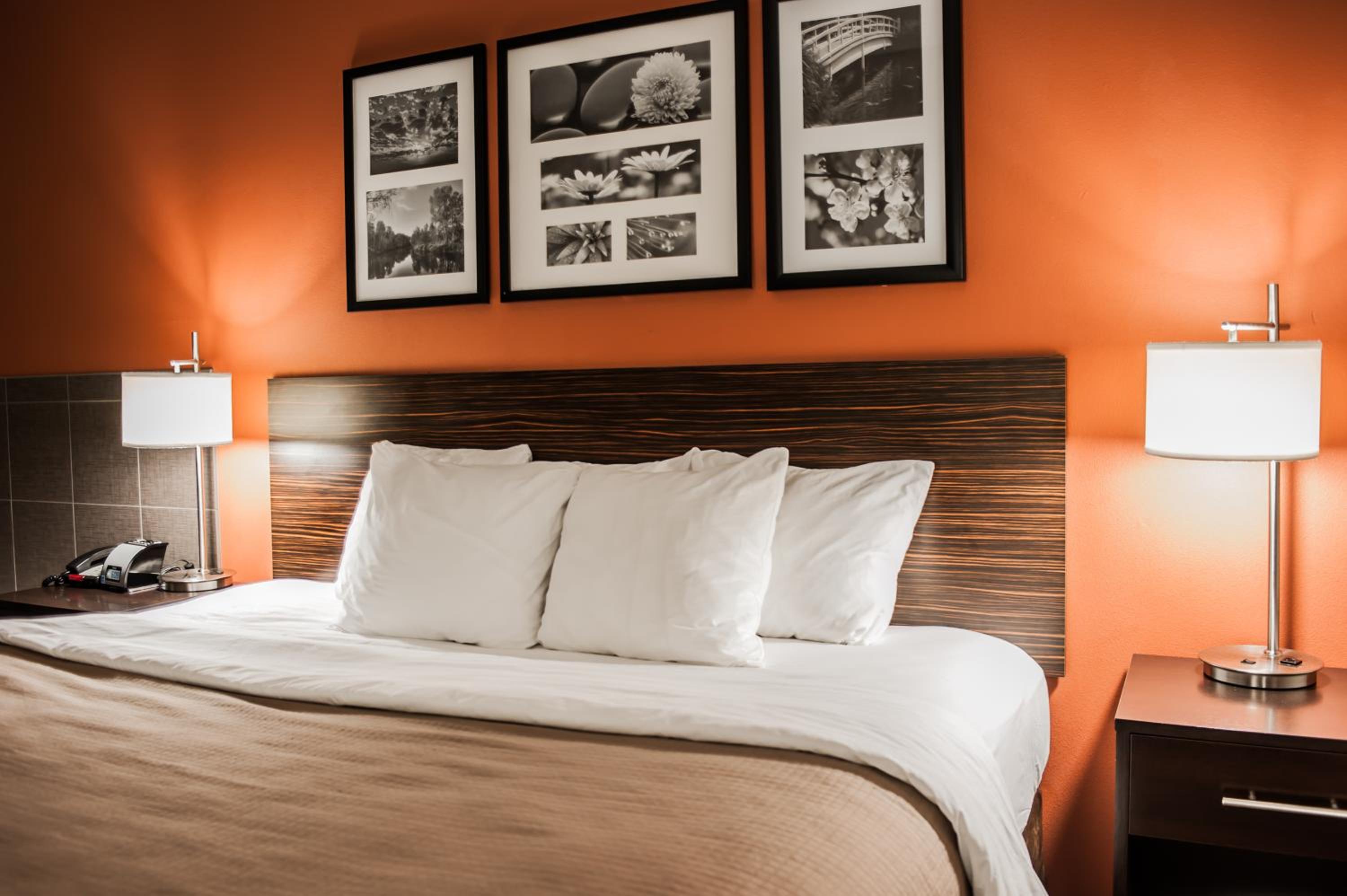 King Room - Non-Smoking - Photo 1