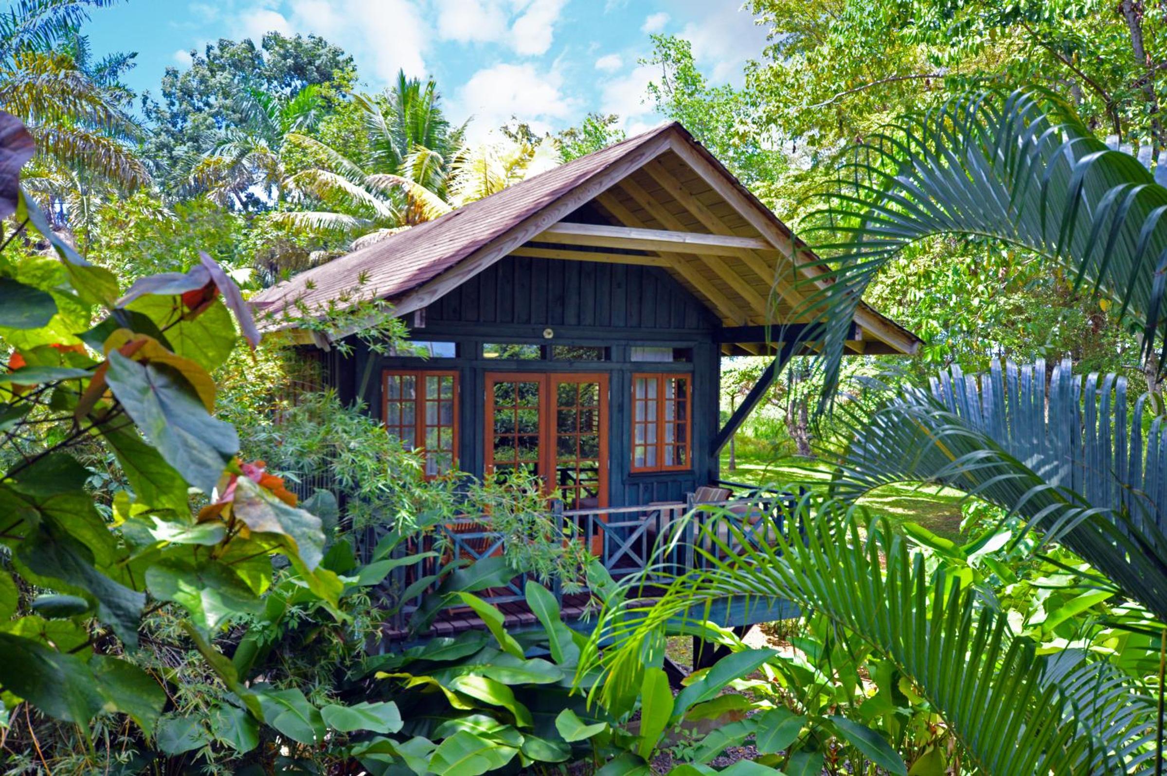 Treetop Deluxe photo 3