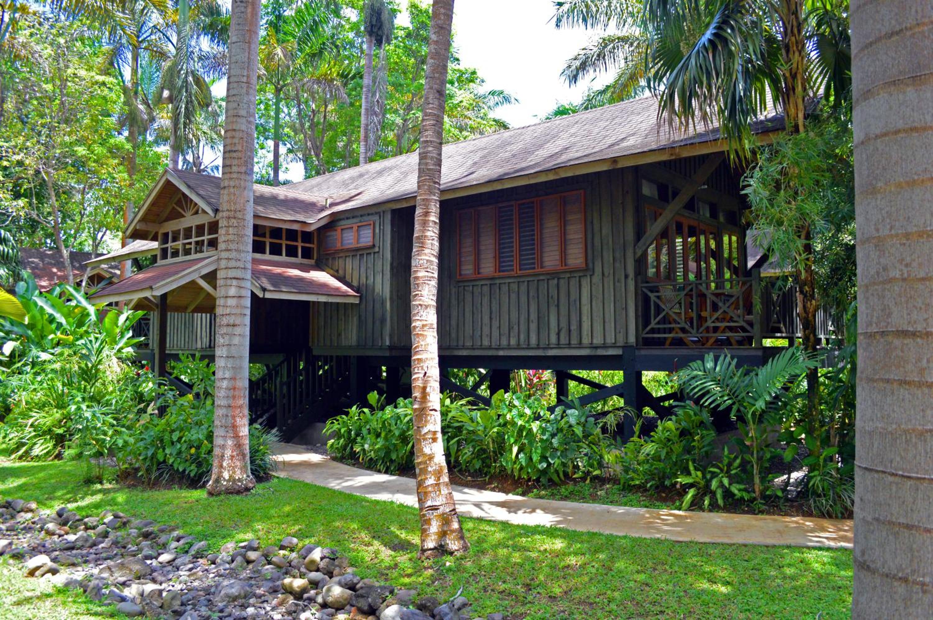Treetop Deluxe photo 2
