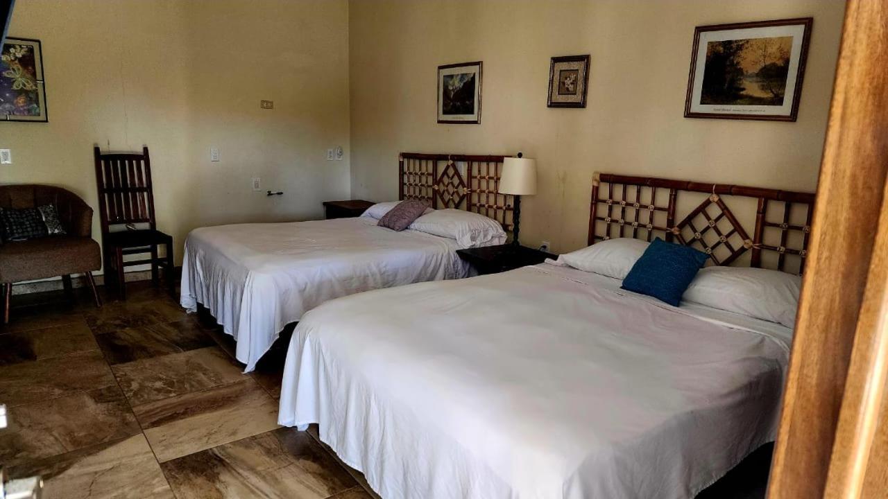Deluxe Queen Room with Two Queen Beds photo 1