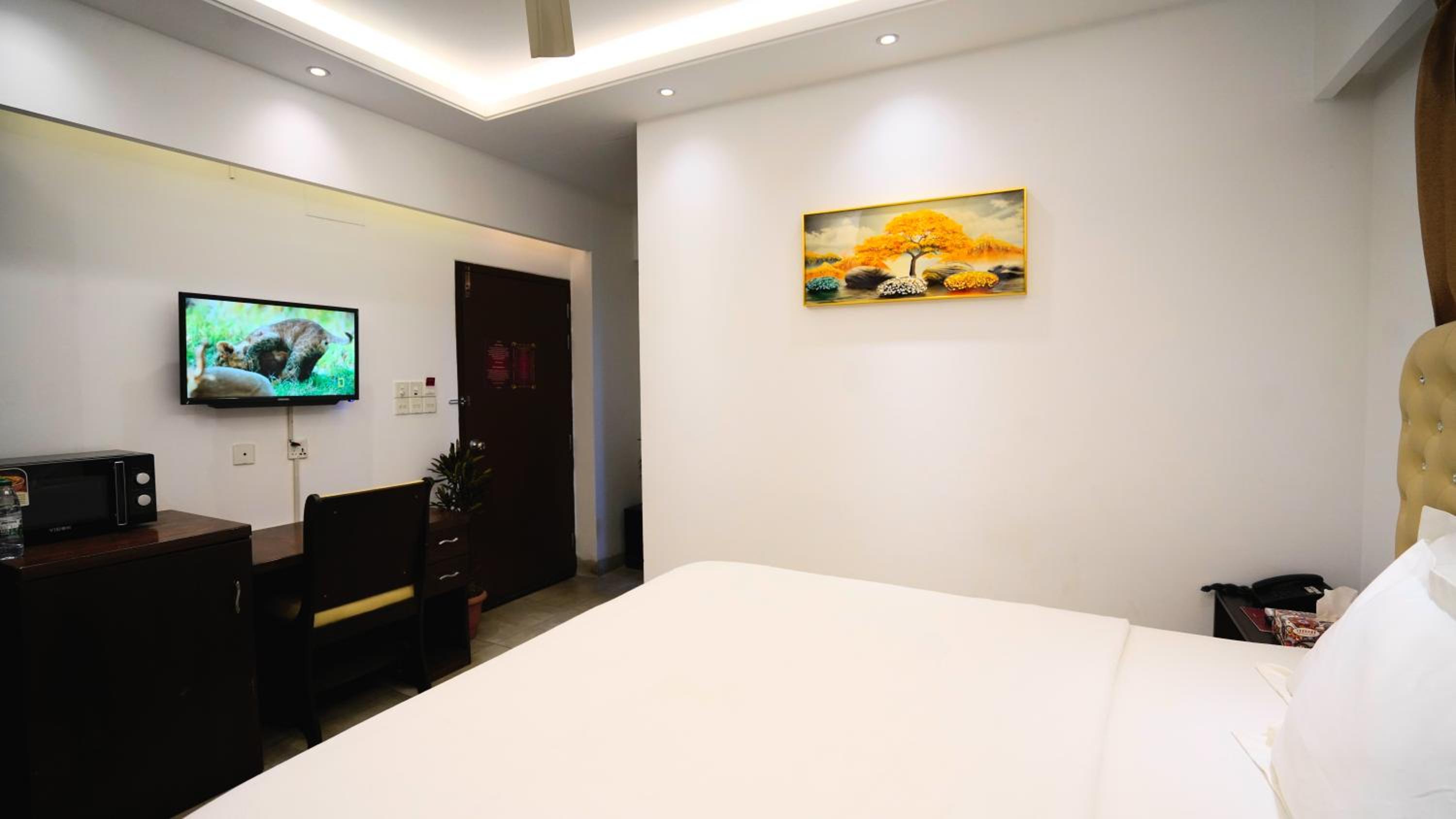 Deluxe Queen Room photo 2