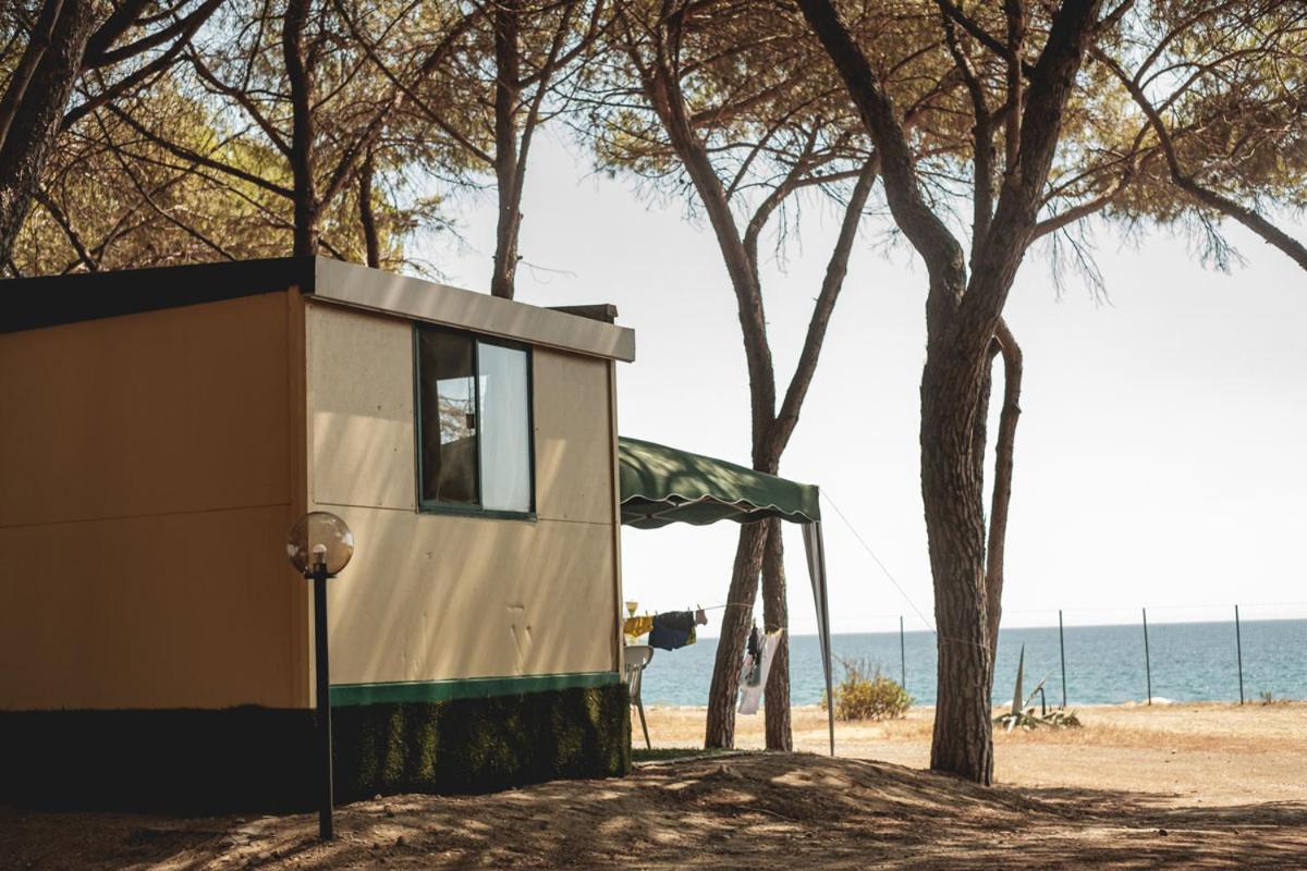 Mobile Home photo 1