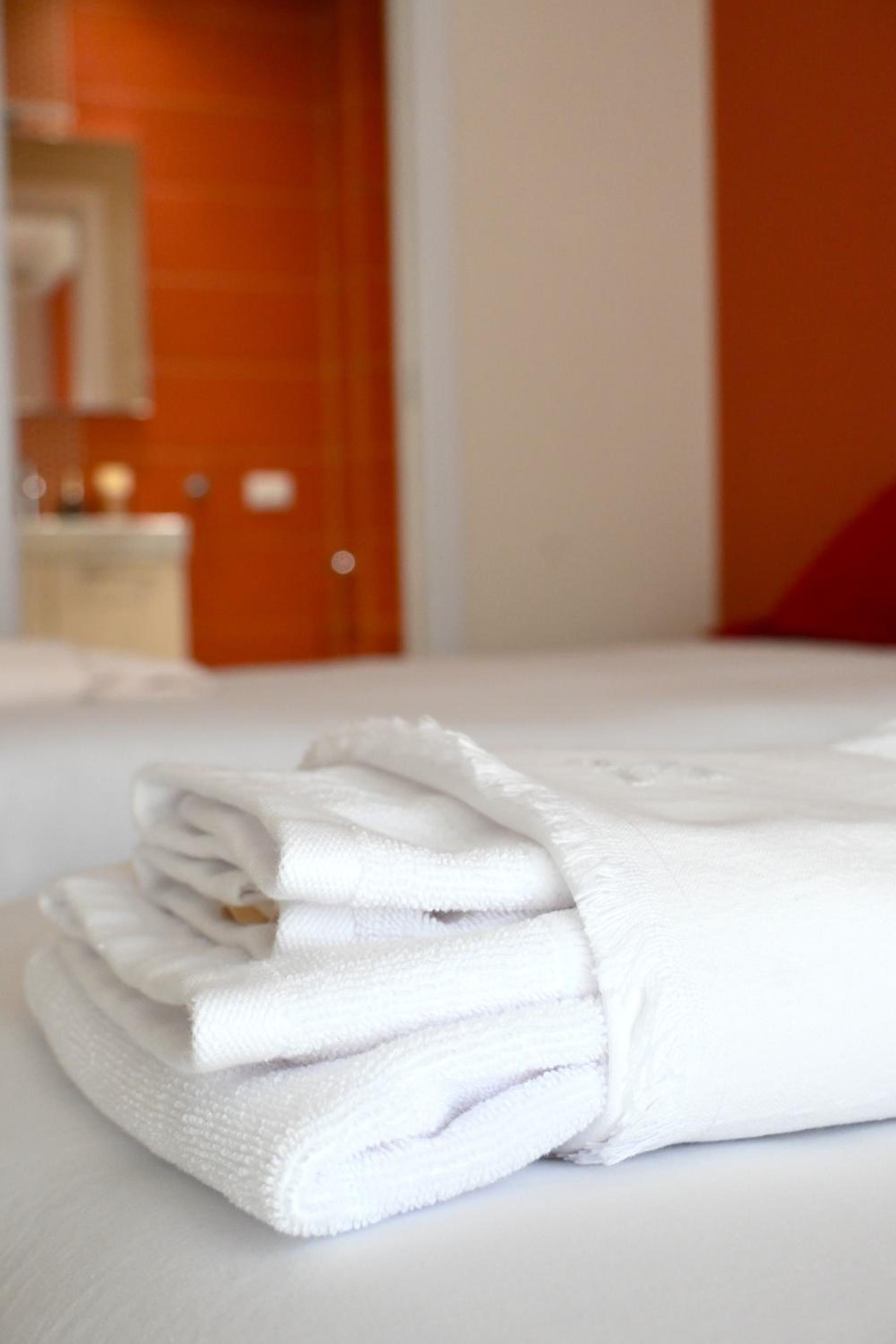 Deluxe Double or Twin Room photo 2