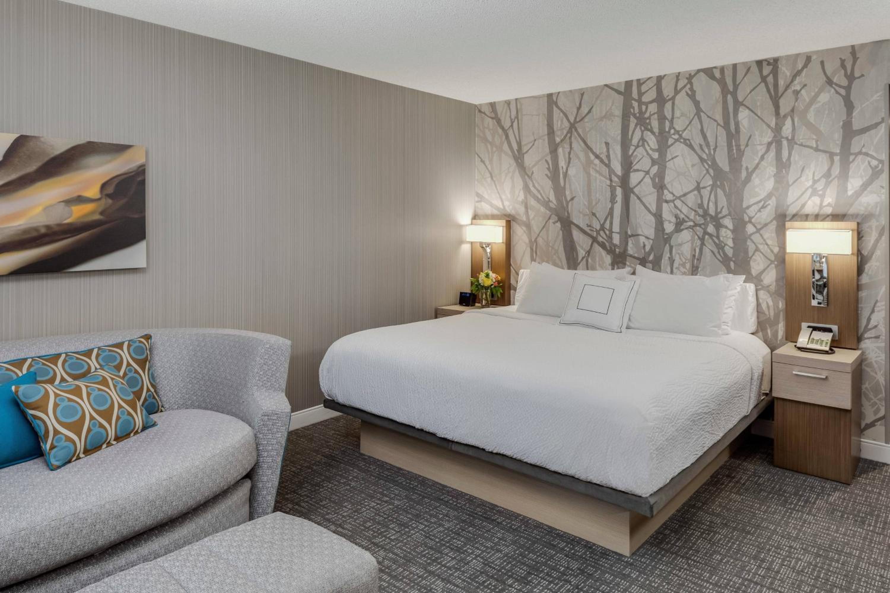 King Room with Sofa Bed and Adapted Tub - Mobility and Hearing Accessible - Photo 1