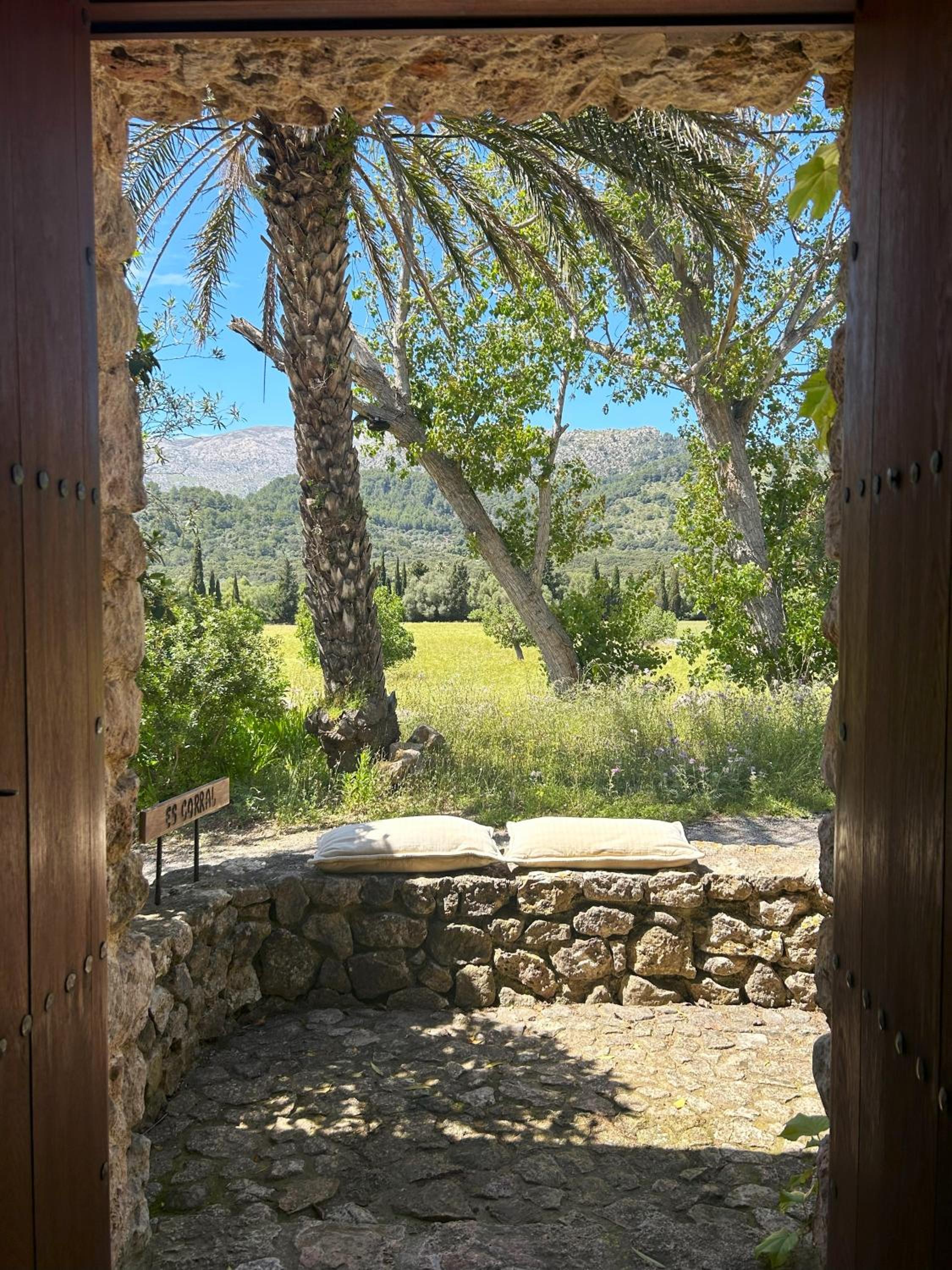 Superior Villa photo 3
