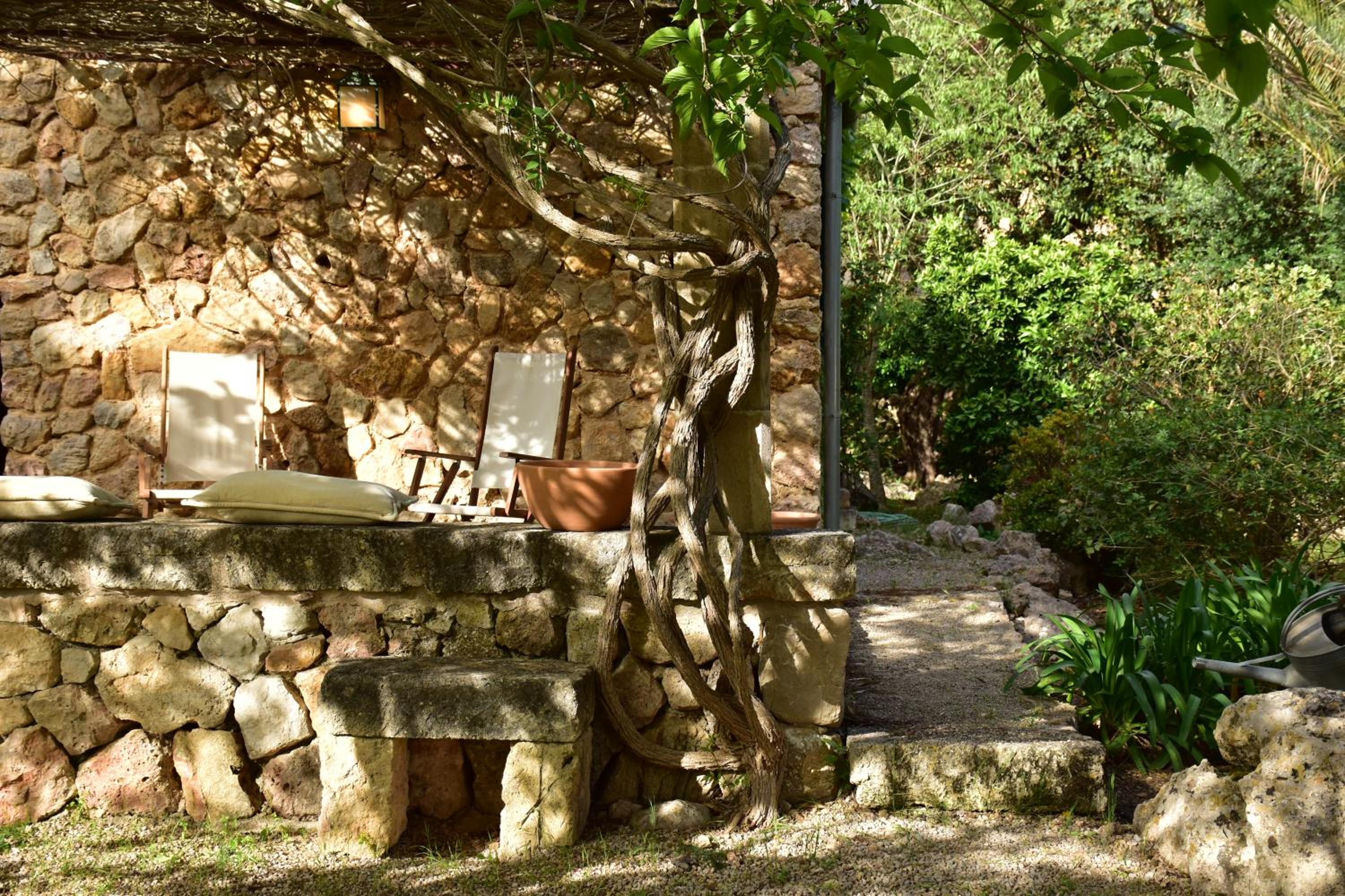 Superior Villa photo 2
