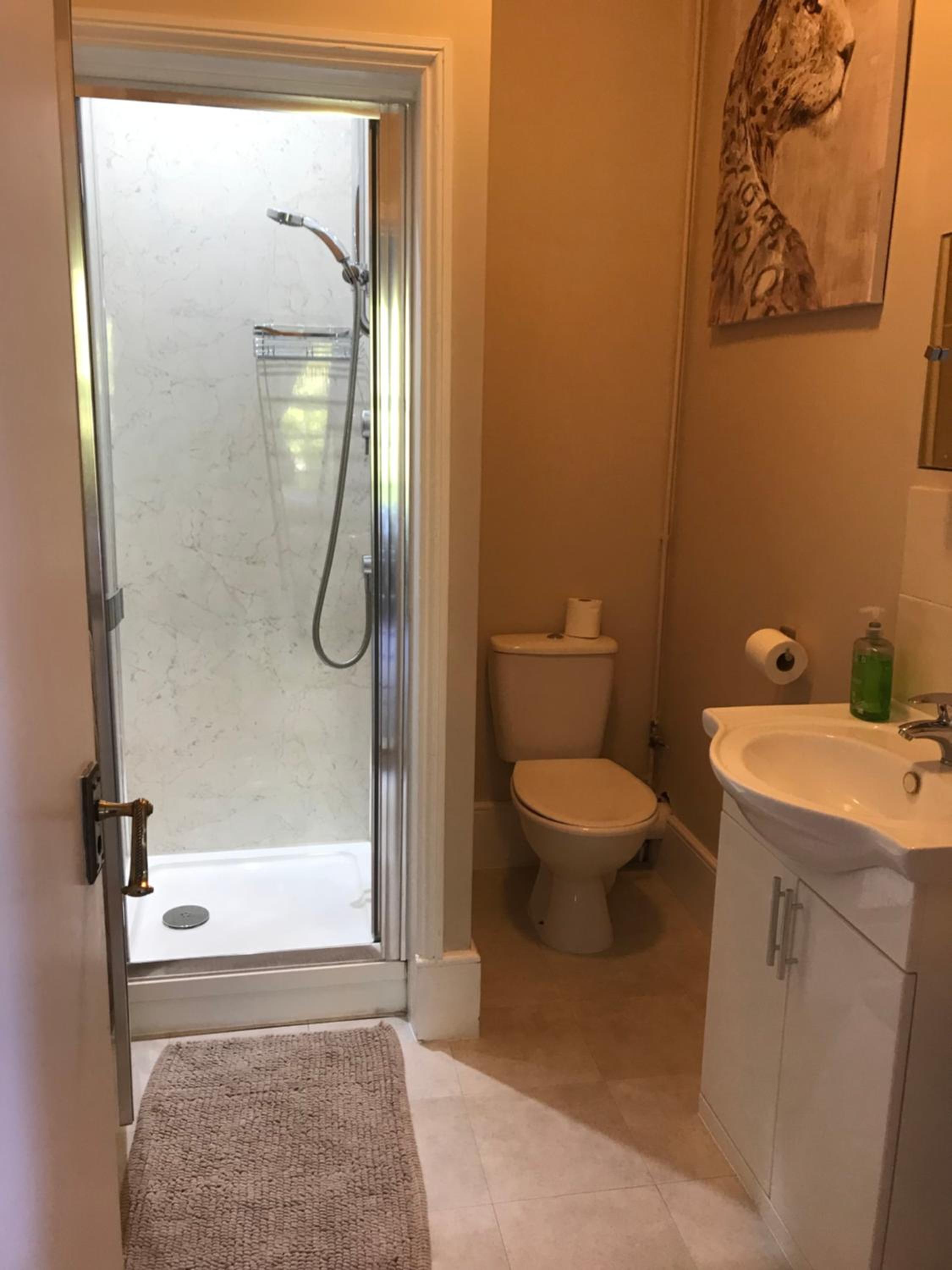 Comfort Triple Room with Shower photo 2