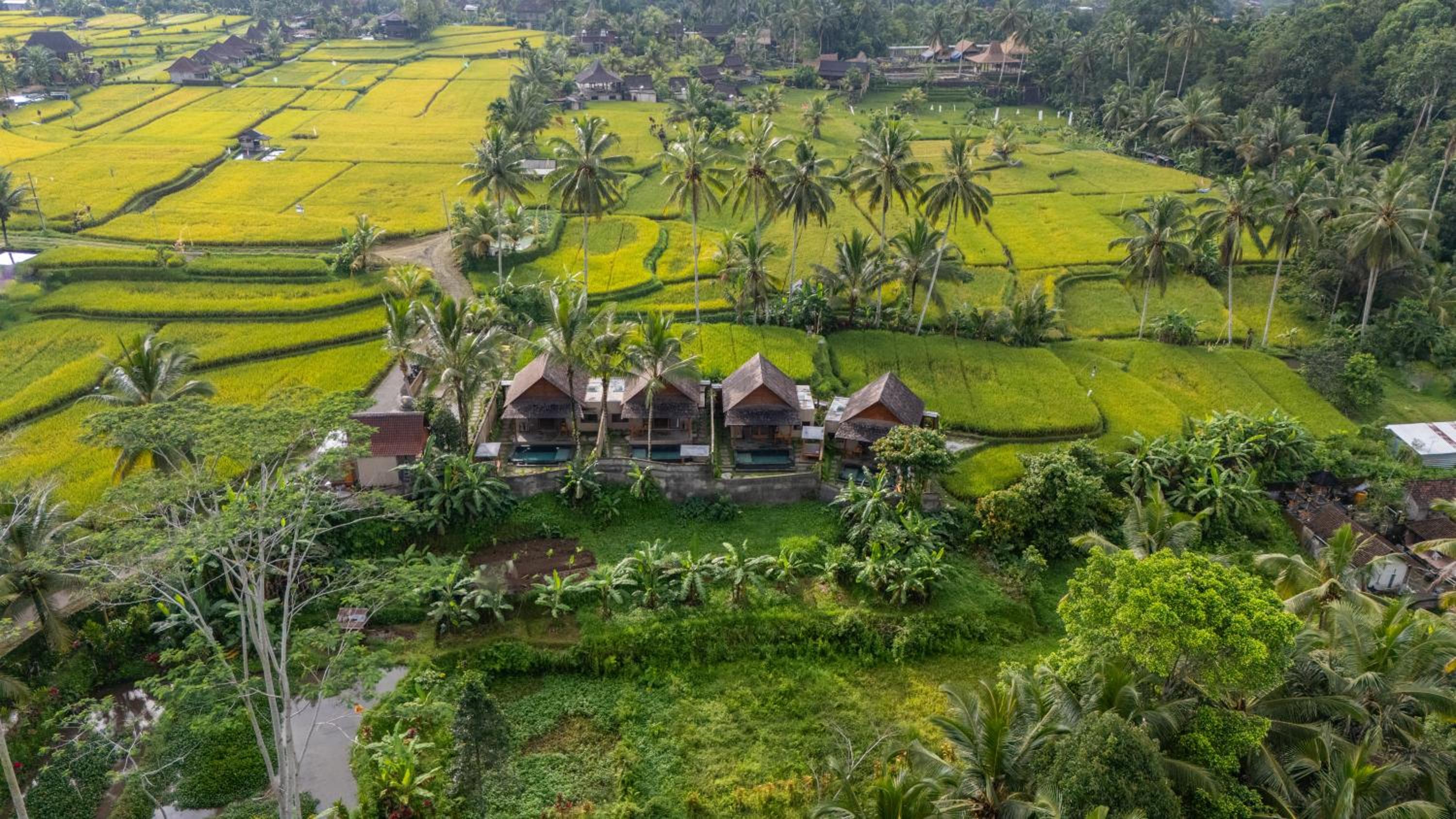 One-Bedroom Villa with Private Pool and Rice Field View photo 3