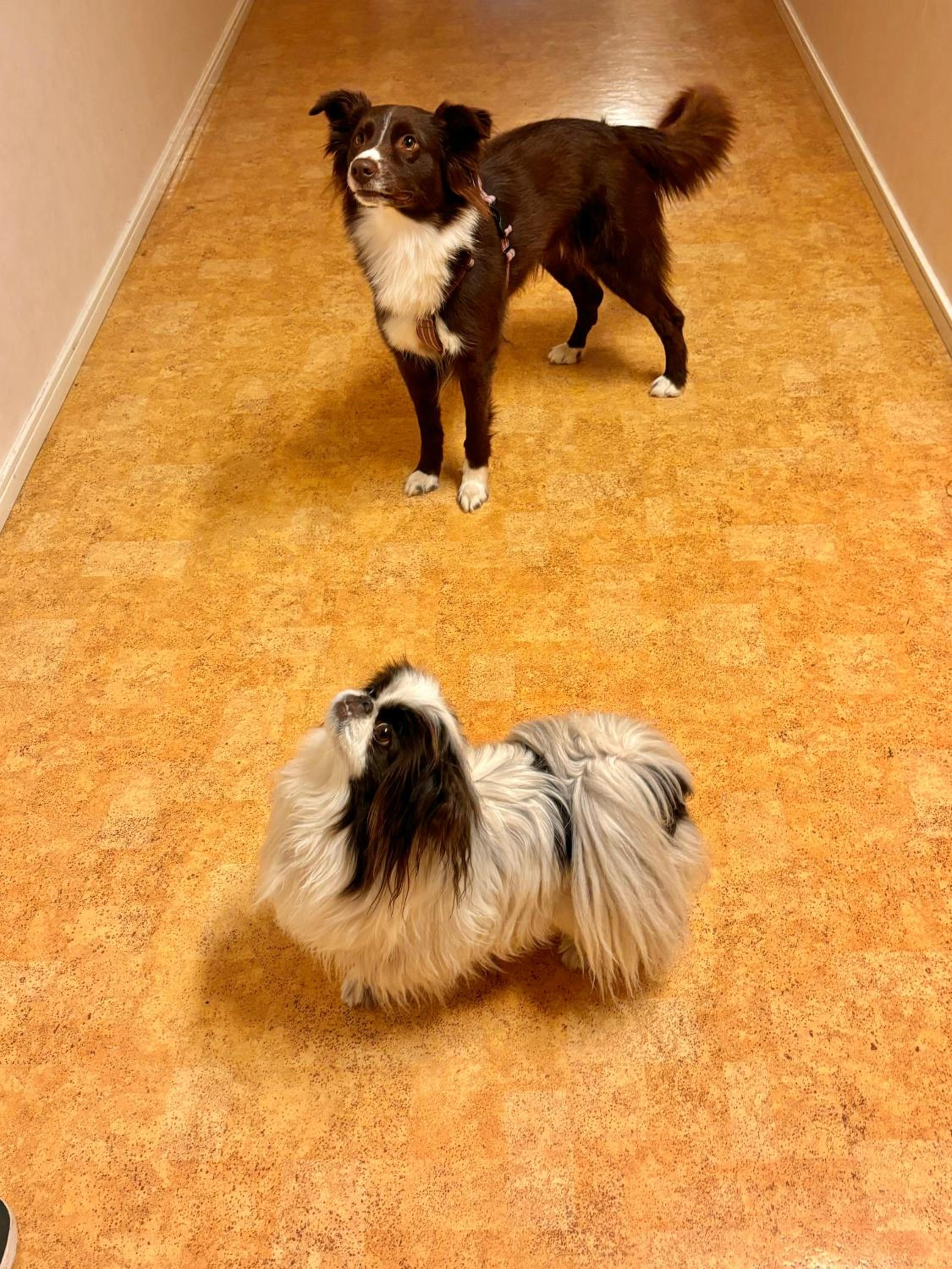 Quadruple Room - Pets Allowed - Photo 2