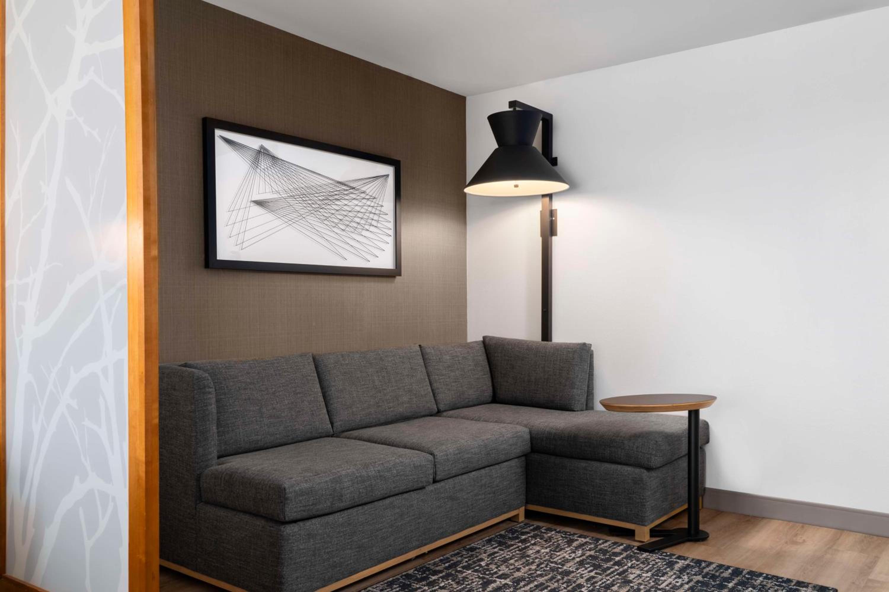 King Room with Sofa Bed and Roll-In Shower - Disability Access photo 2