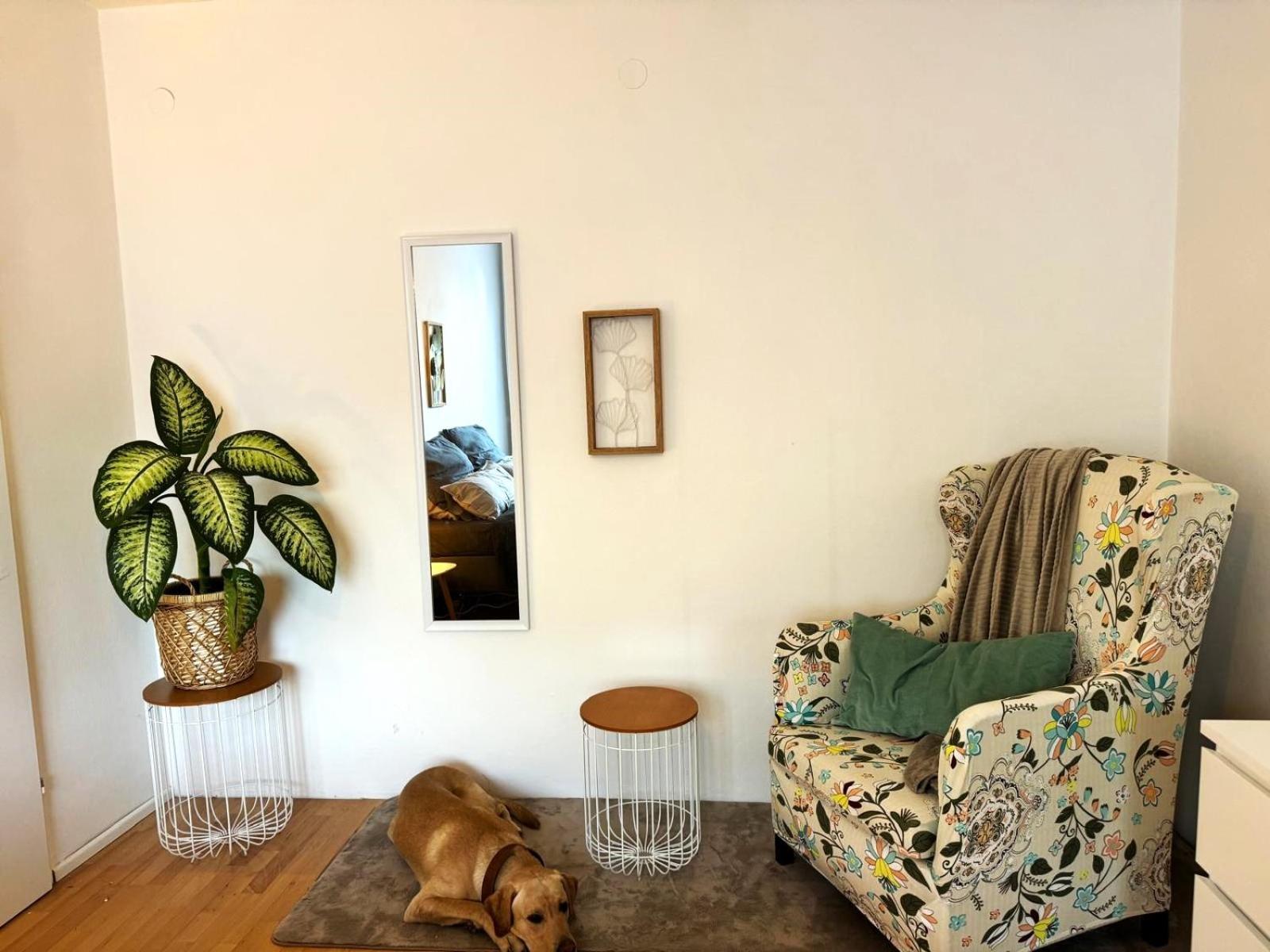 Two-Bedroom Apartment photo 2