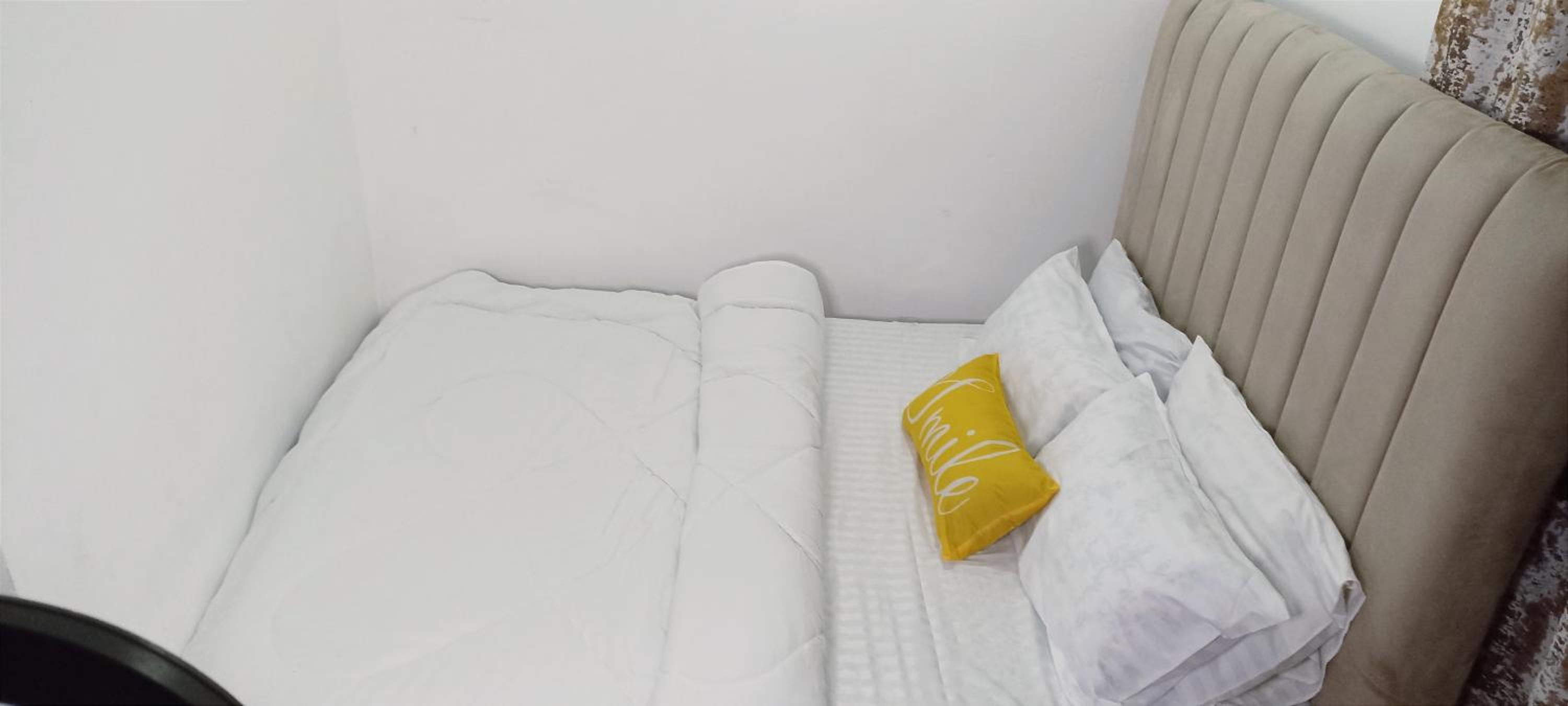 One-Bedroom Apartment photo 3
