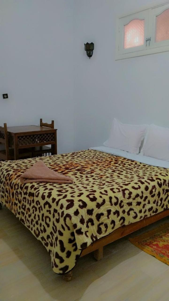 Twin Room photo 1