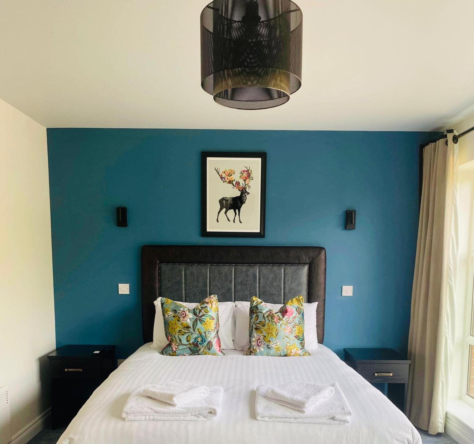 Superior King Room photo 2
