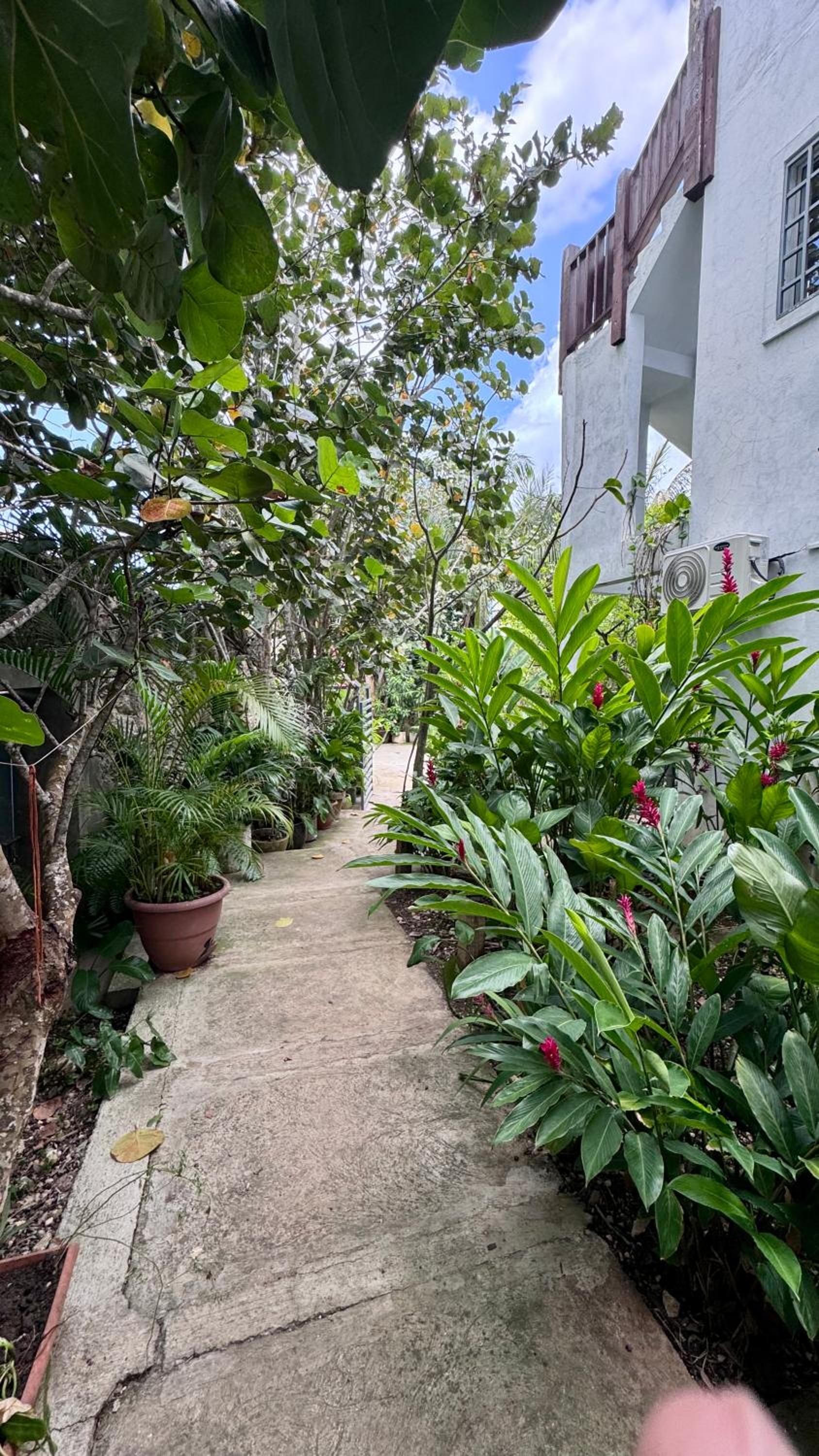 Studio with Garden View photo 3