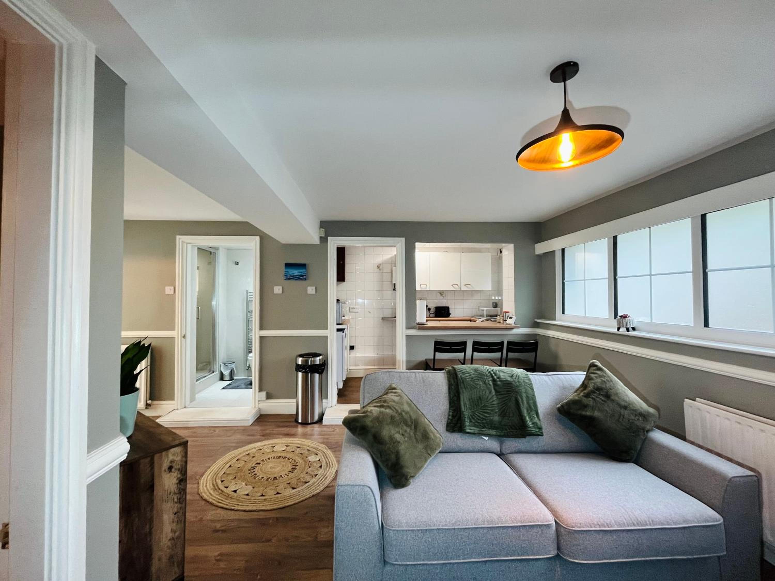 Deluxe One-Bedroom Apartment photo 3
