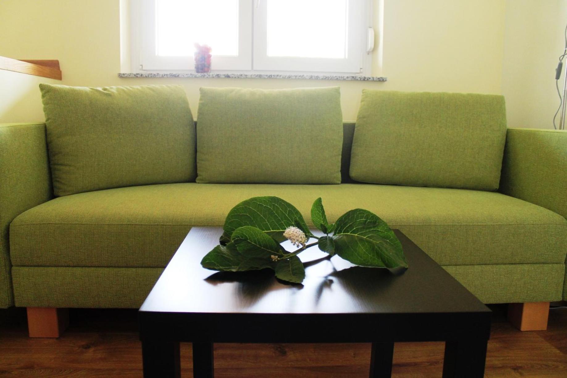 One-Bedroom Apartment - Weinbeere photo 2