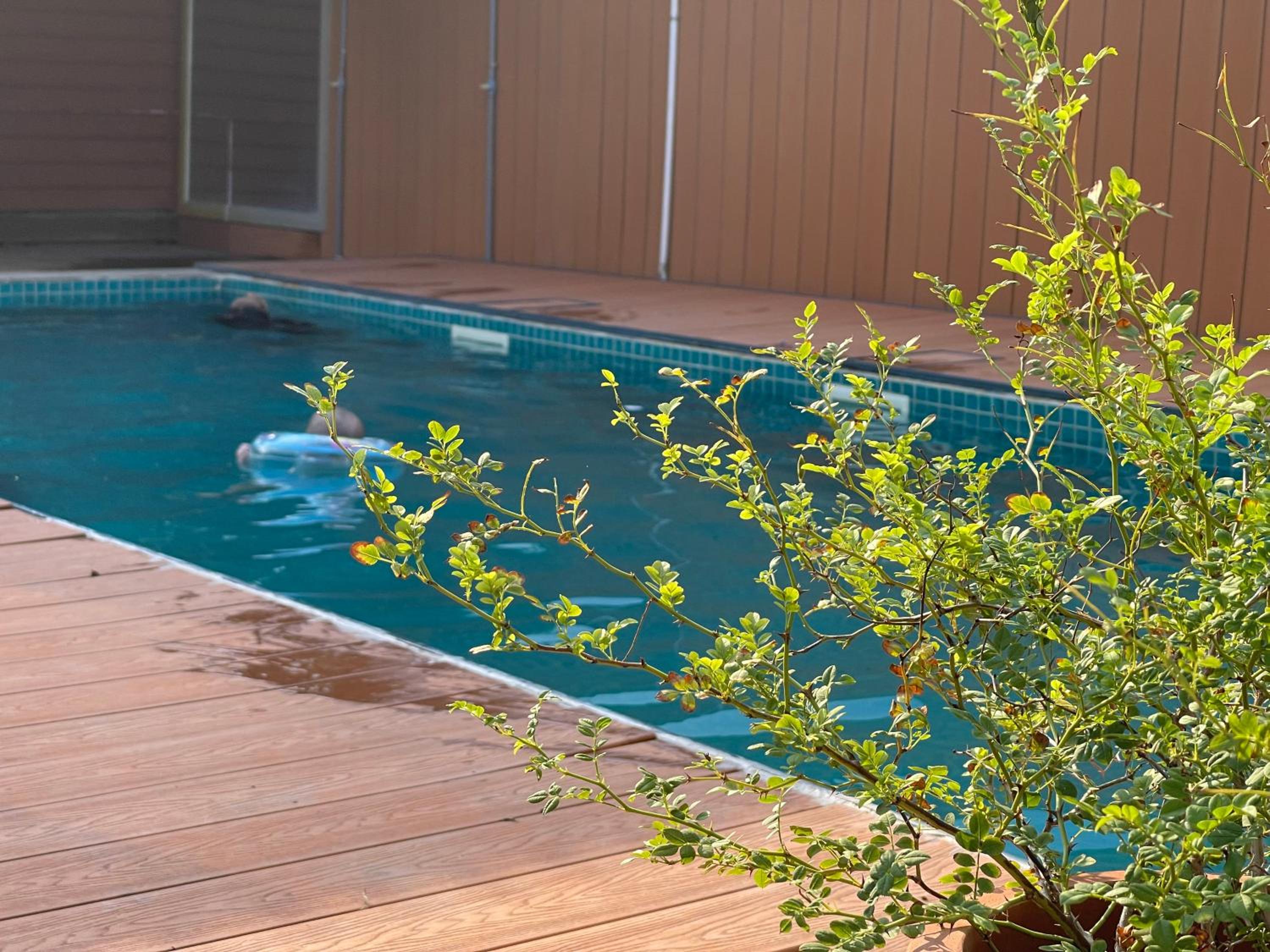 Double Room With Pool View photo 2