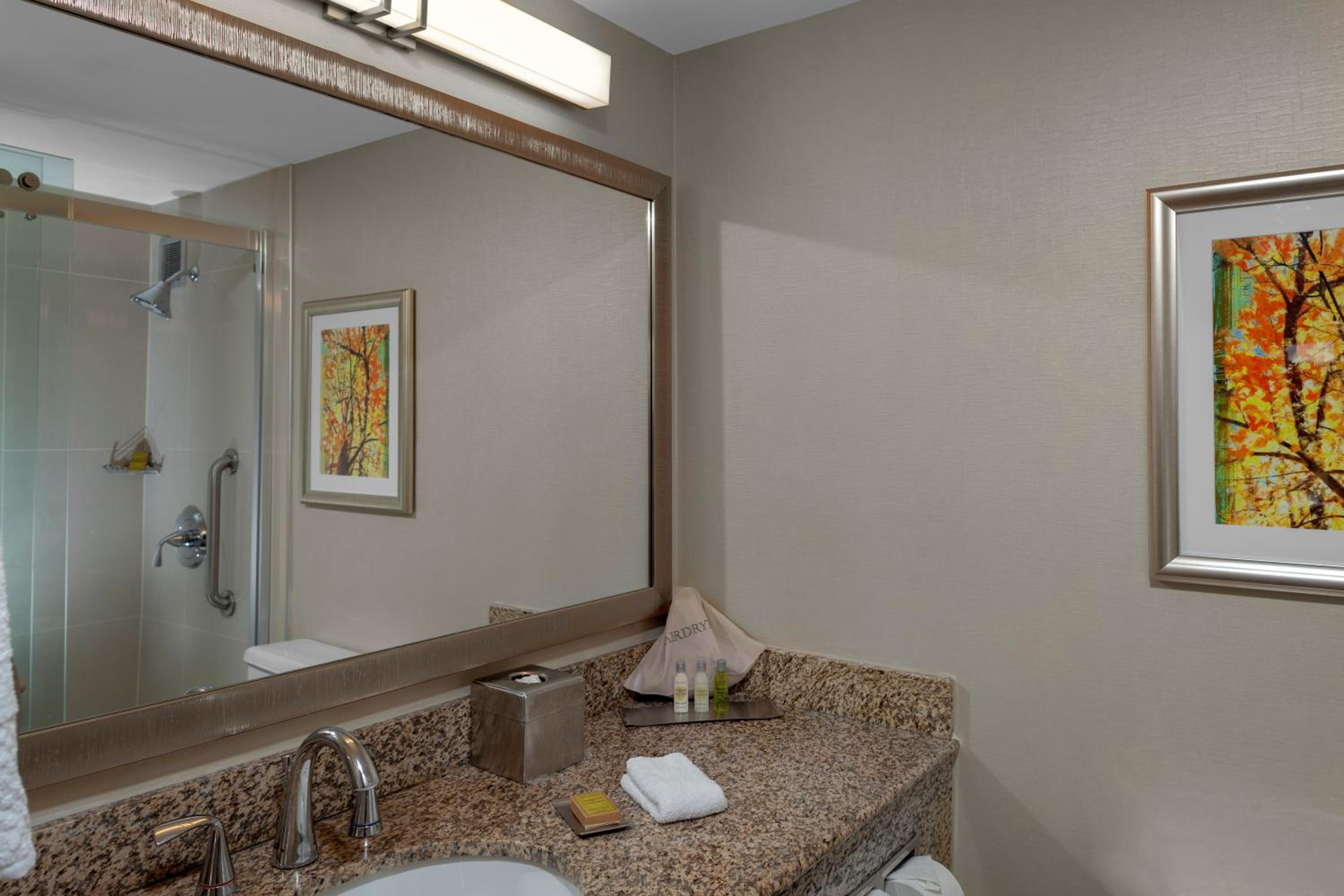 King Room with Accessible Tub - Mobility and Hearing Access/Non-Smoking photo 3