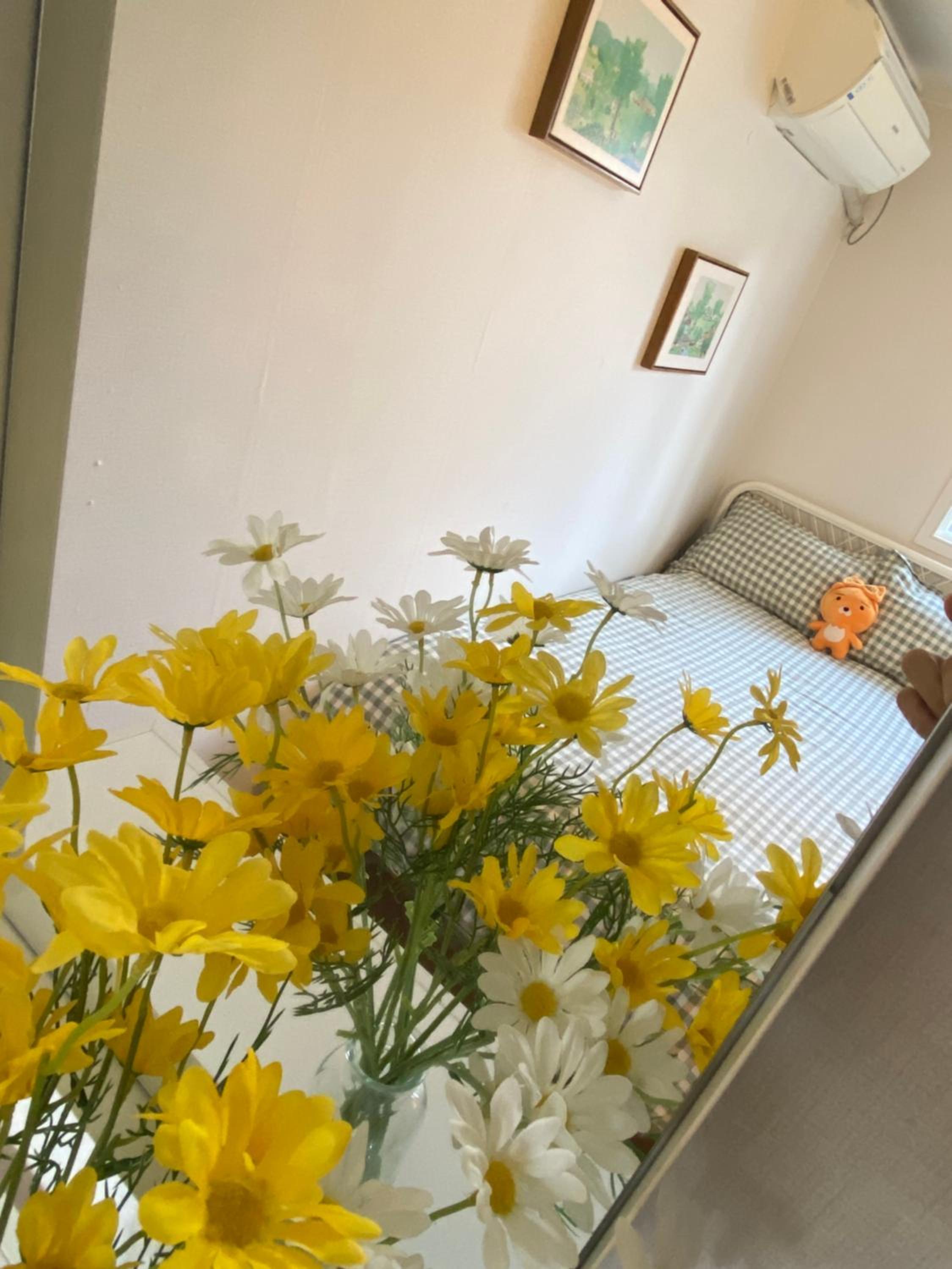 Double Room with Shared Bathroom