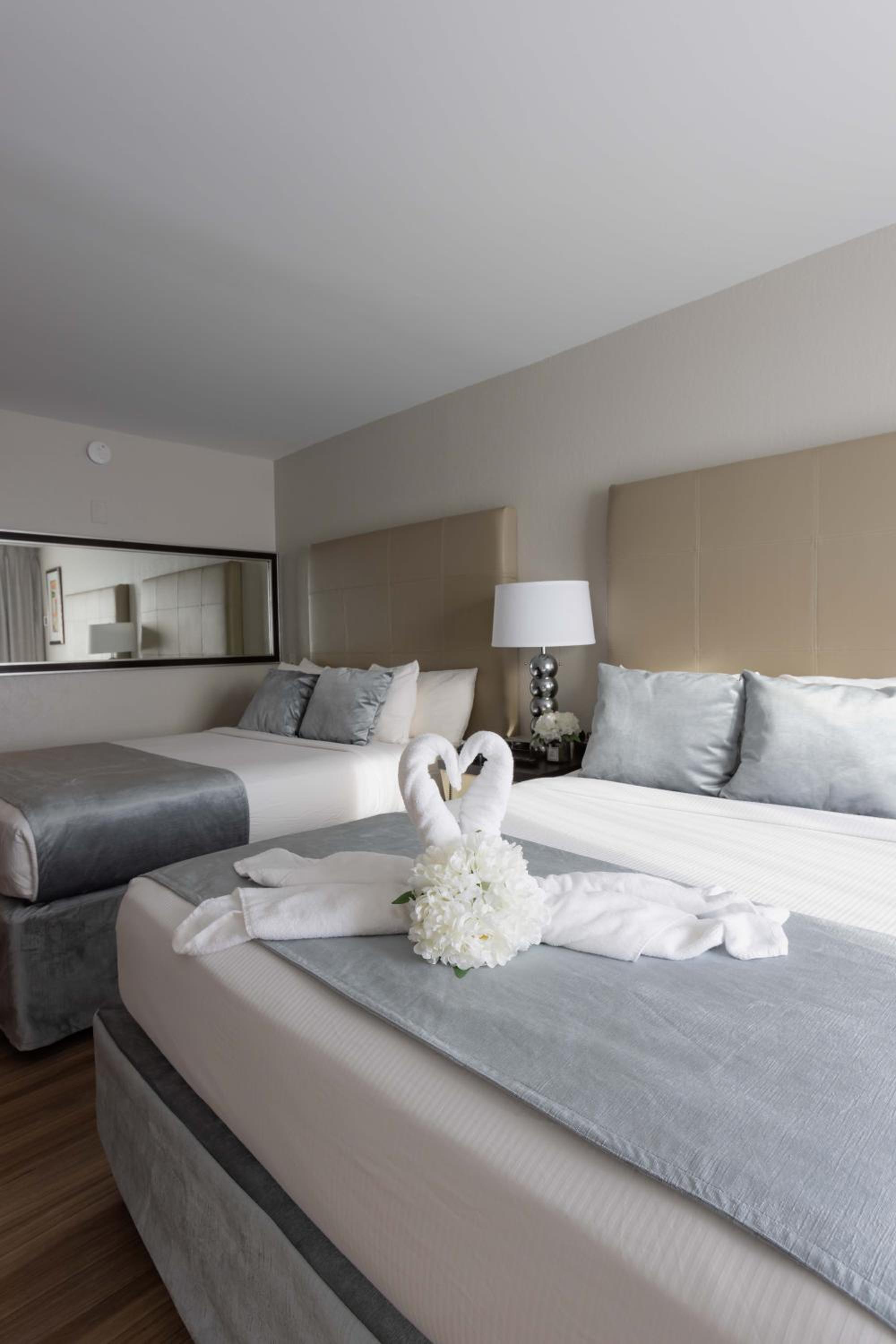 Elite Queen Room with Two Queen Beds - Mobility and Hearing Accessible/Non-Smoking photo 2