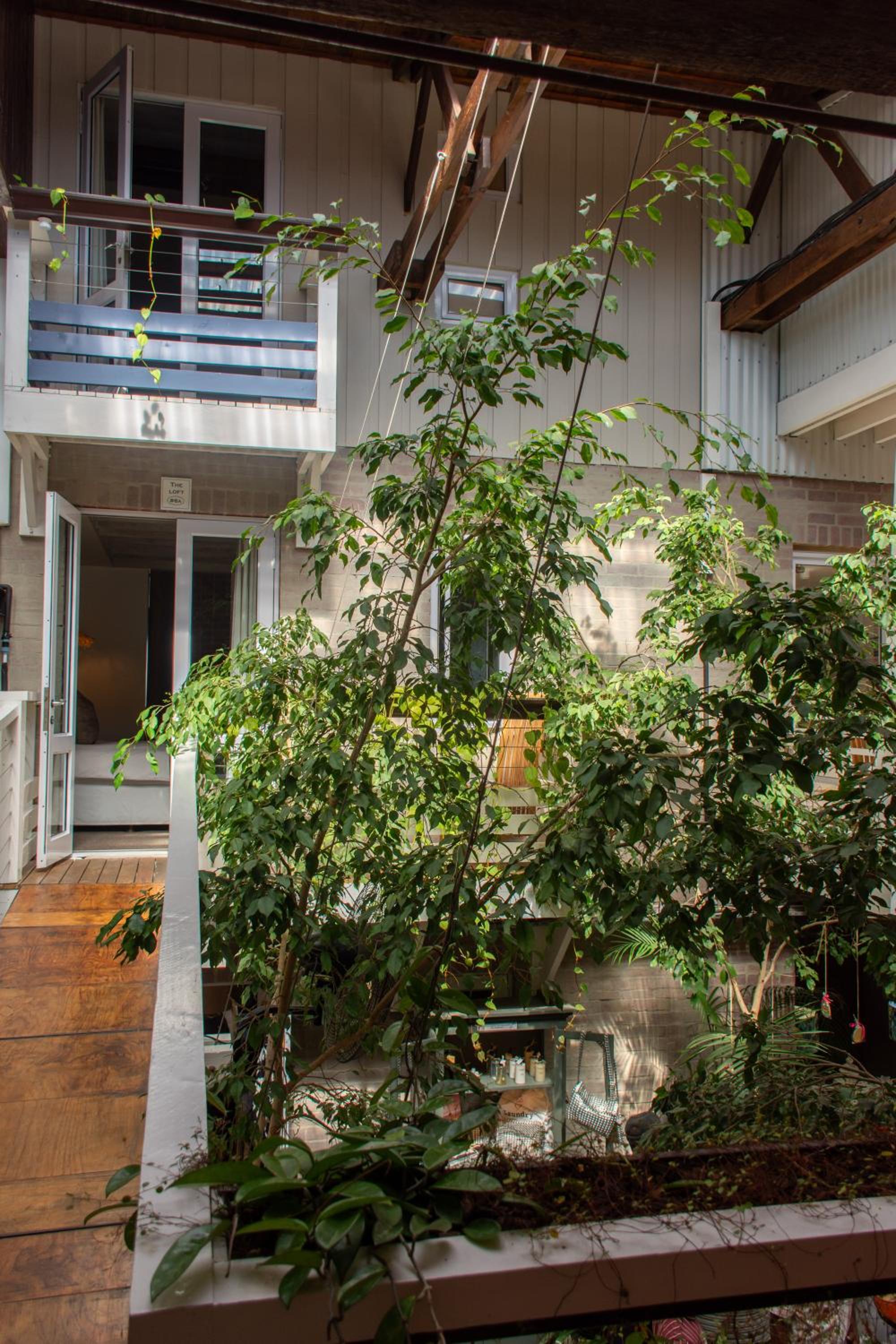 Apartment - Photo 26