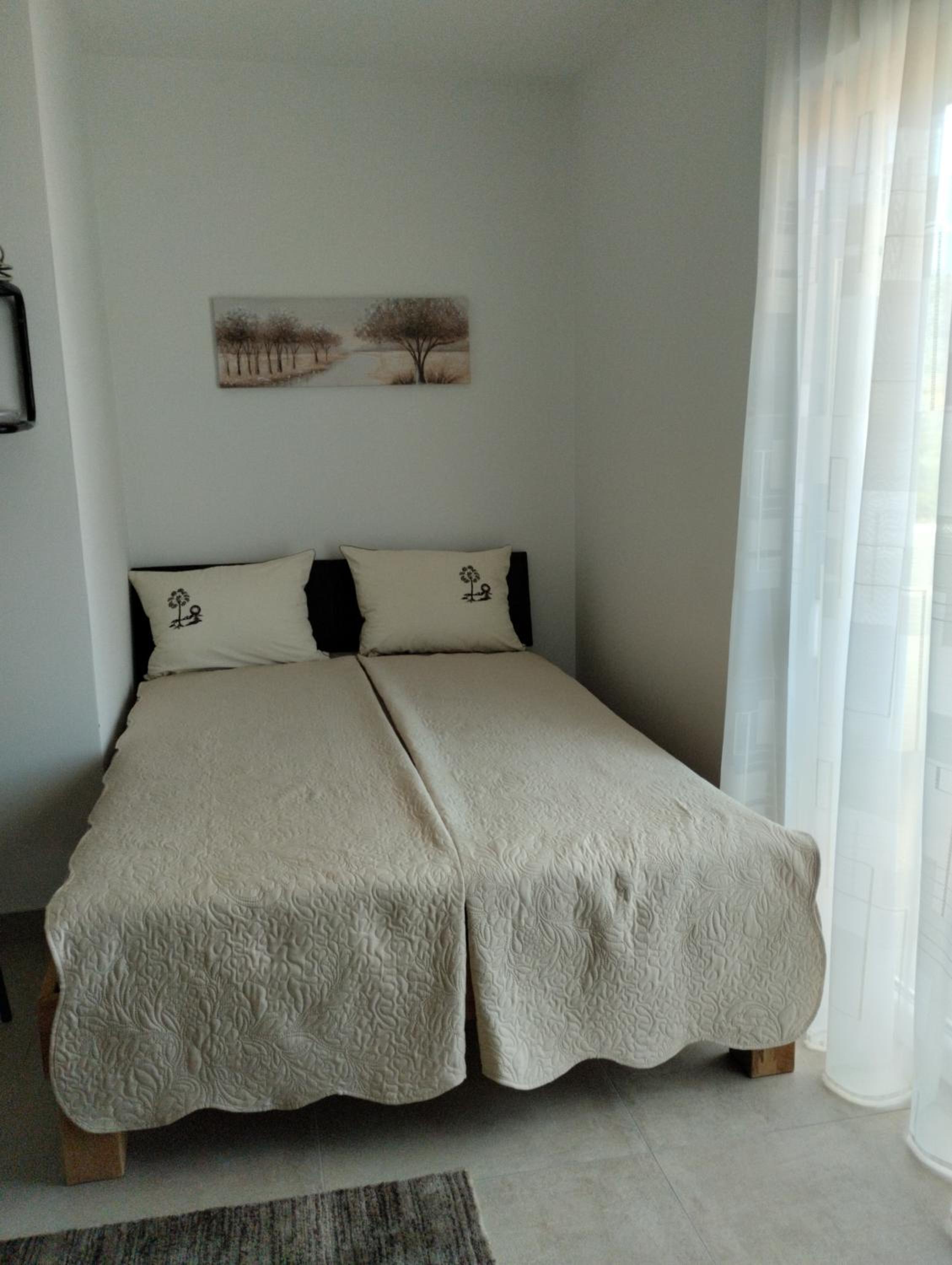 One-Bedroom Apartment photo 3