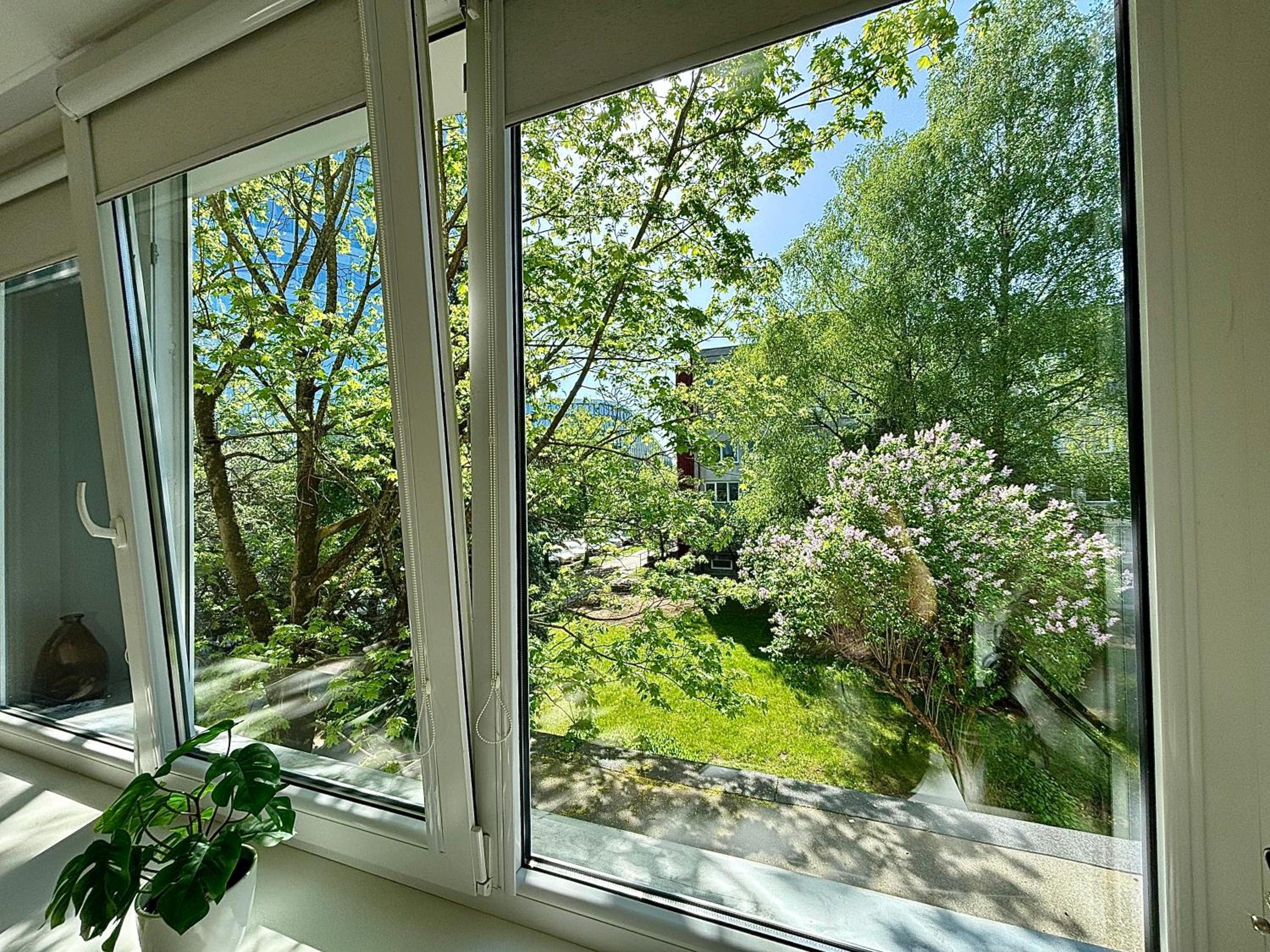 Studio with Garden View photo 3