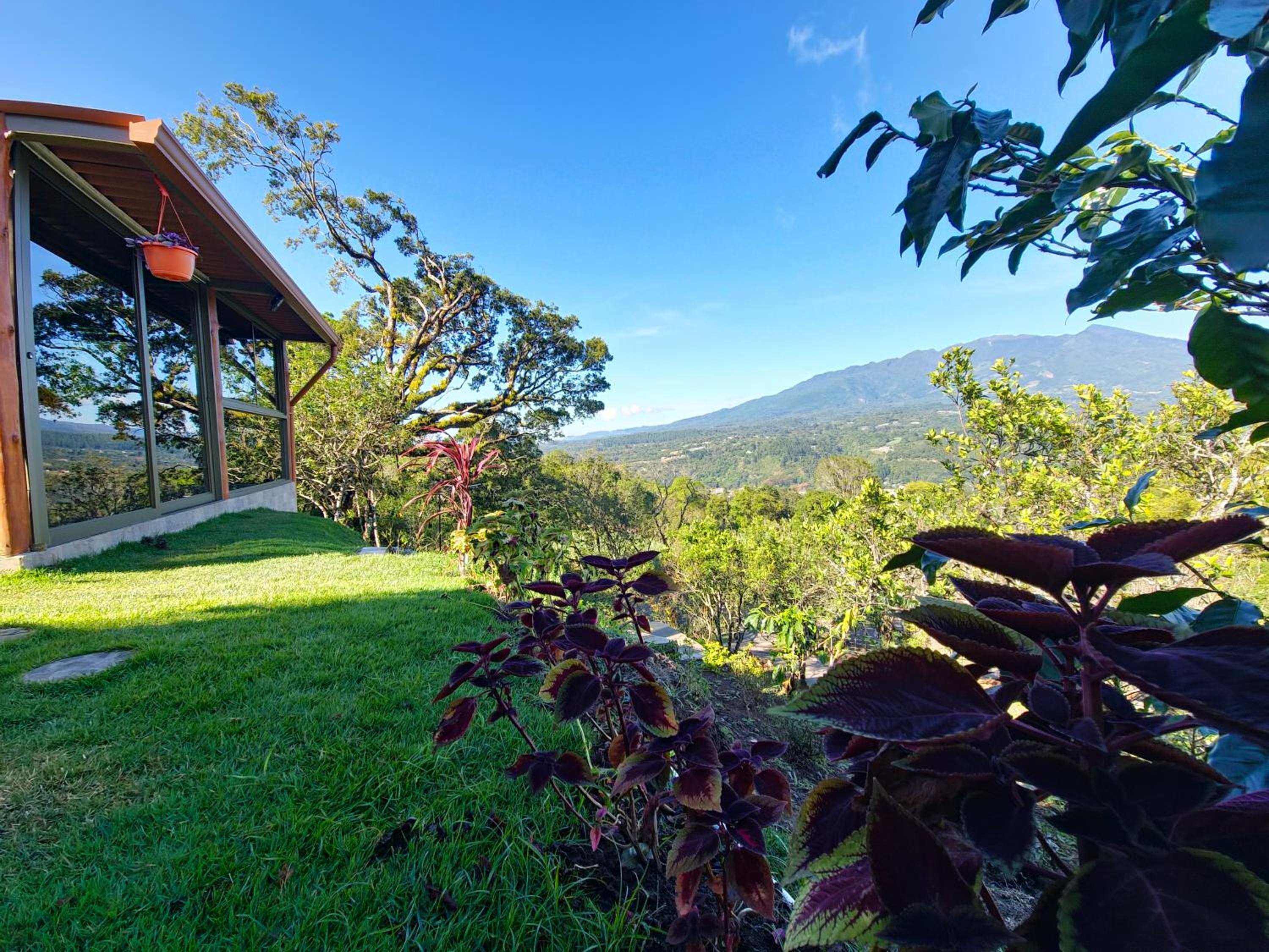 Double Room with Mountain View photo 1