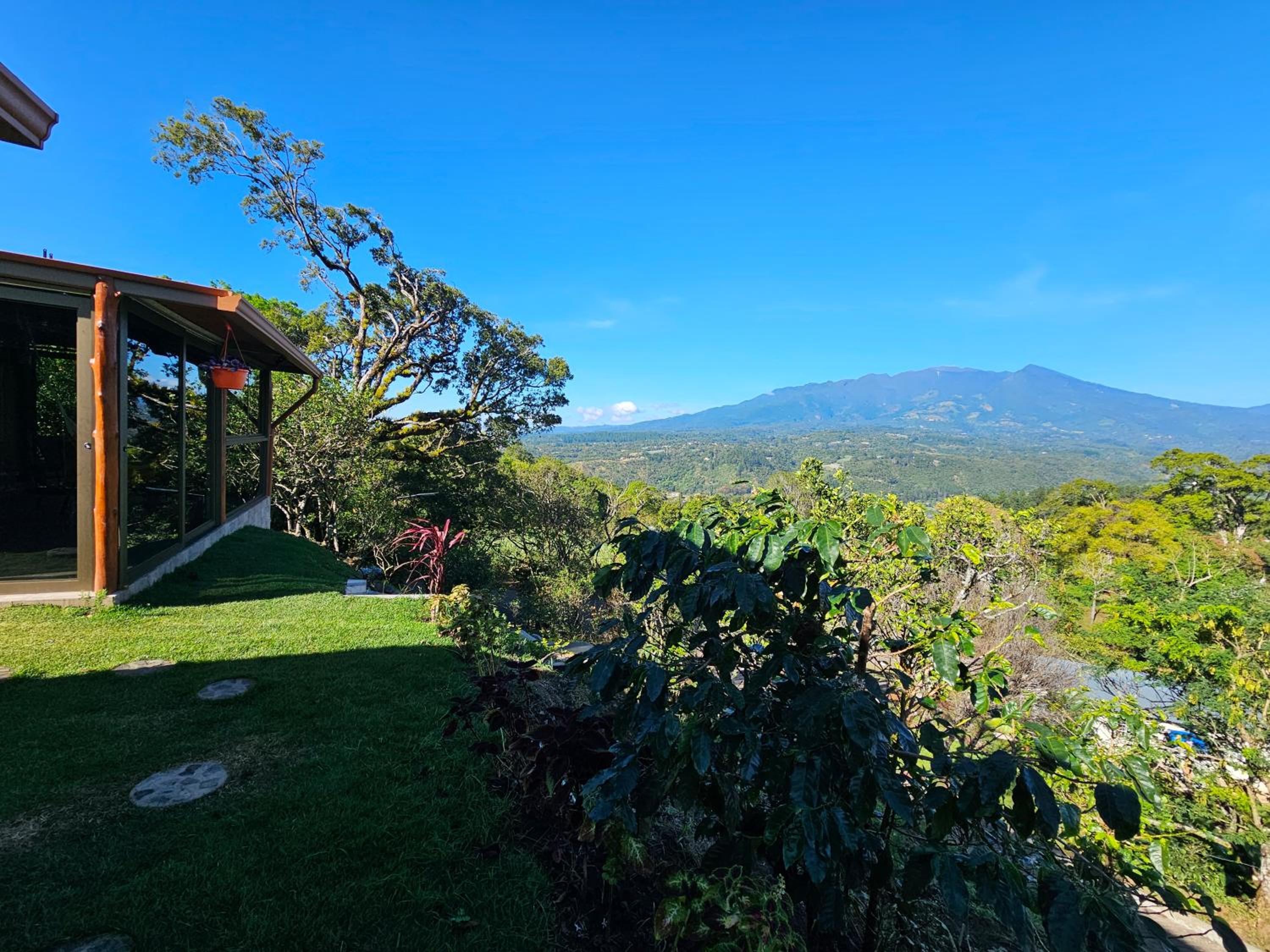 Double Room with Mountain View photo 2