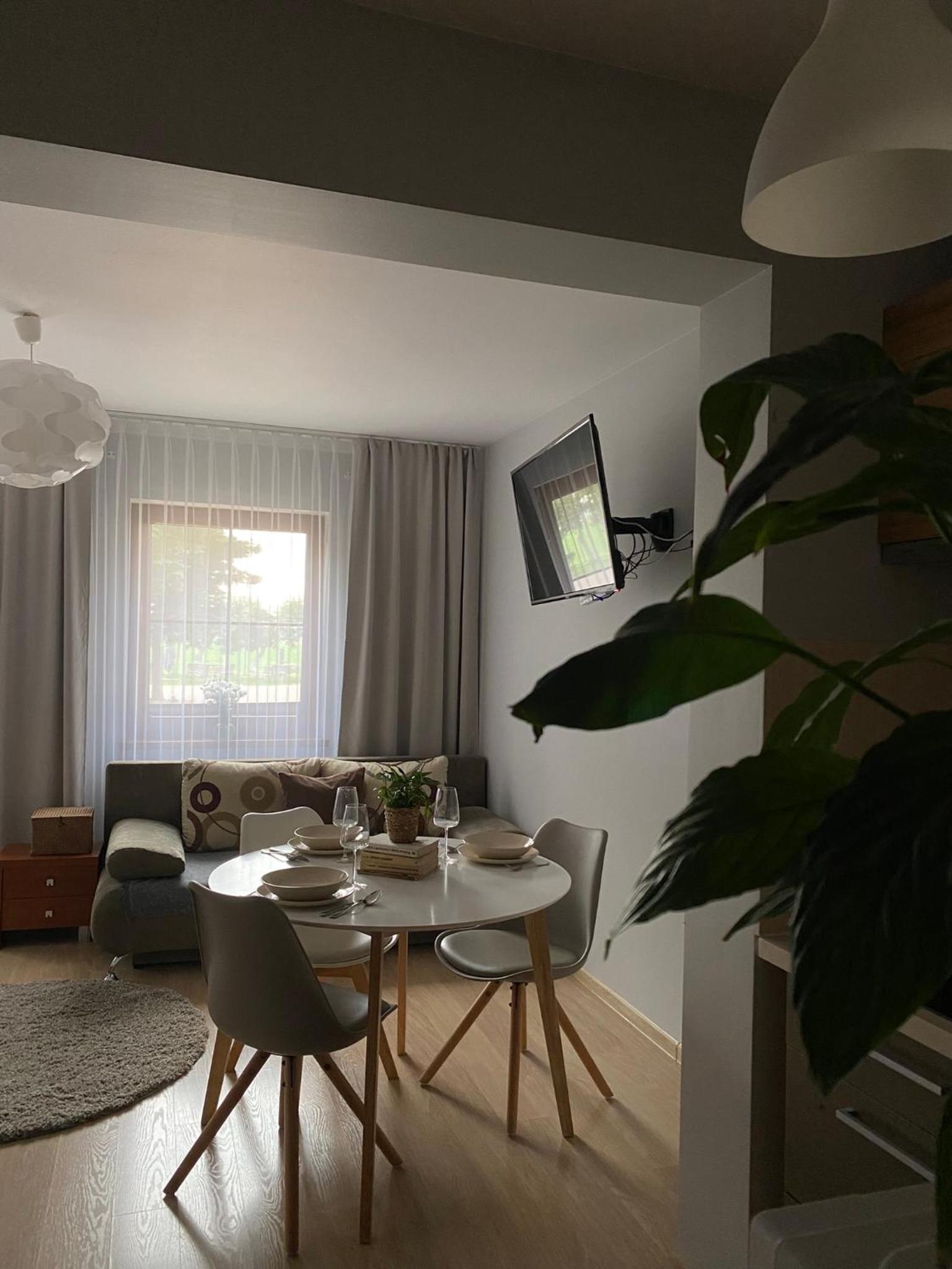 Studio with Sofa Bed - Photo 9